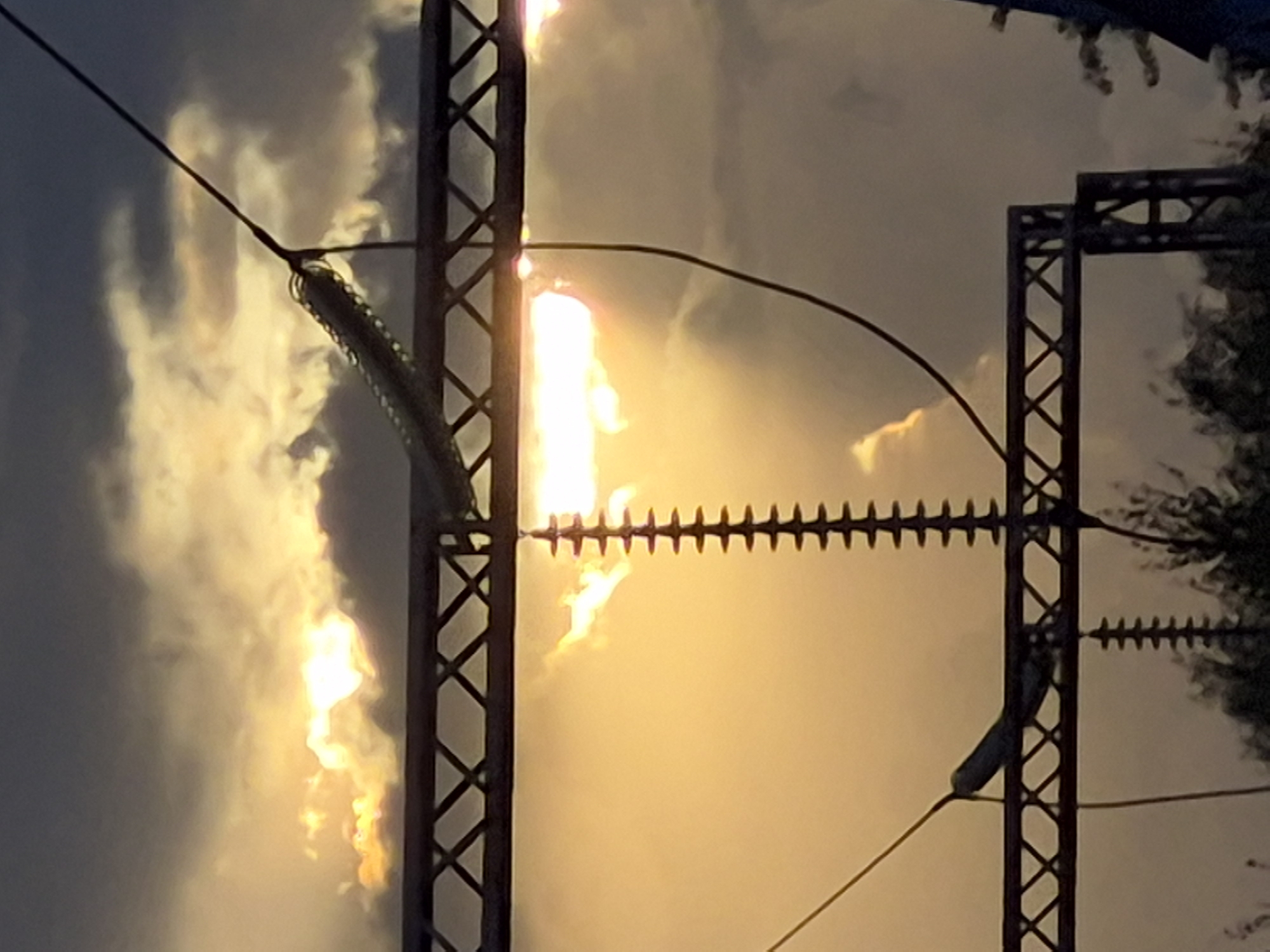 Moscow summer evening: wildflowers, park paths, and stormy pylon skies