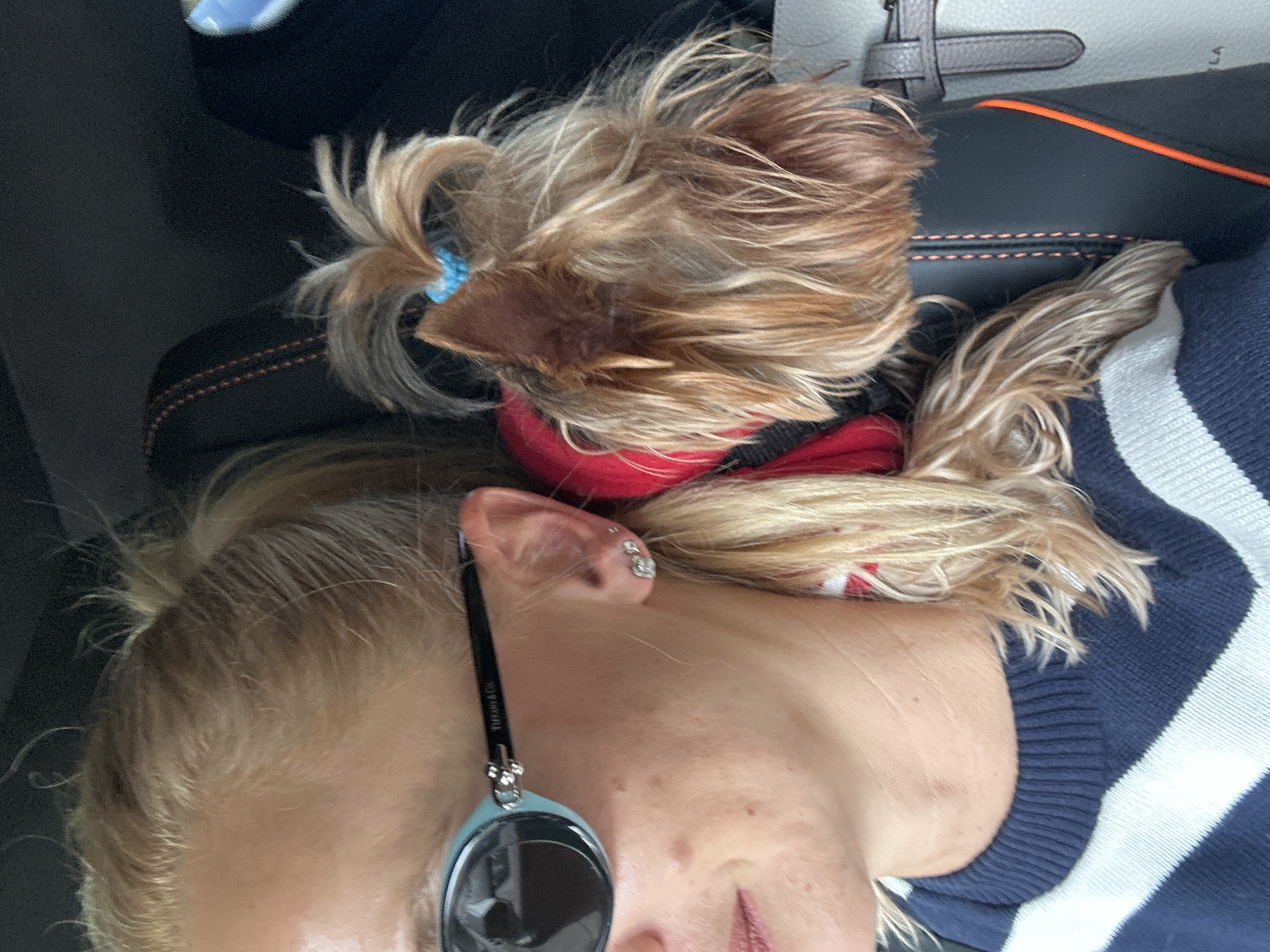 Person and dog share quiet moment in vehicle