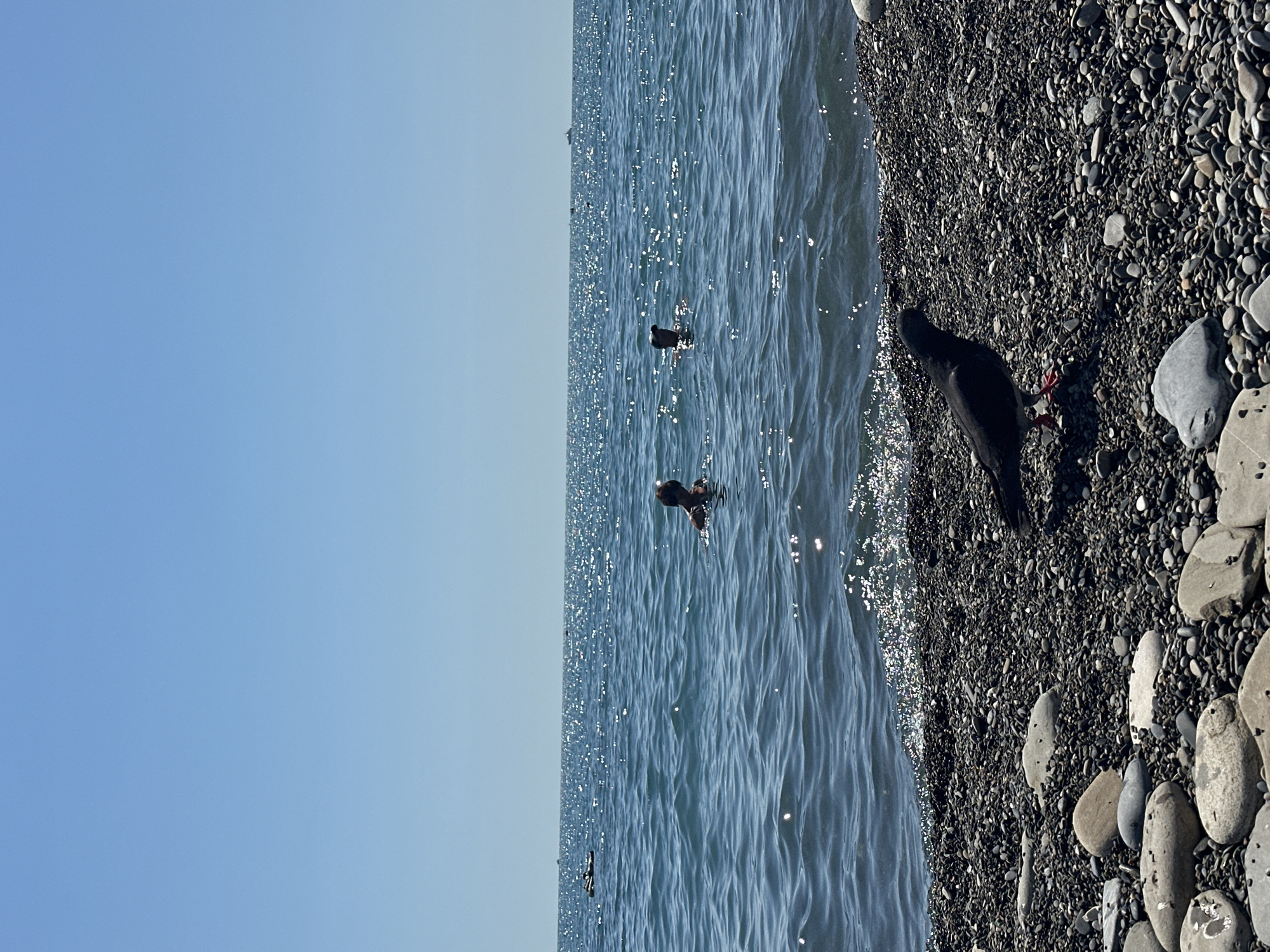 Lazy summer morning along Sochi's Black Sea pebble beach