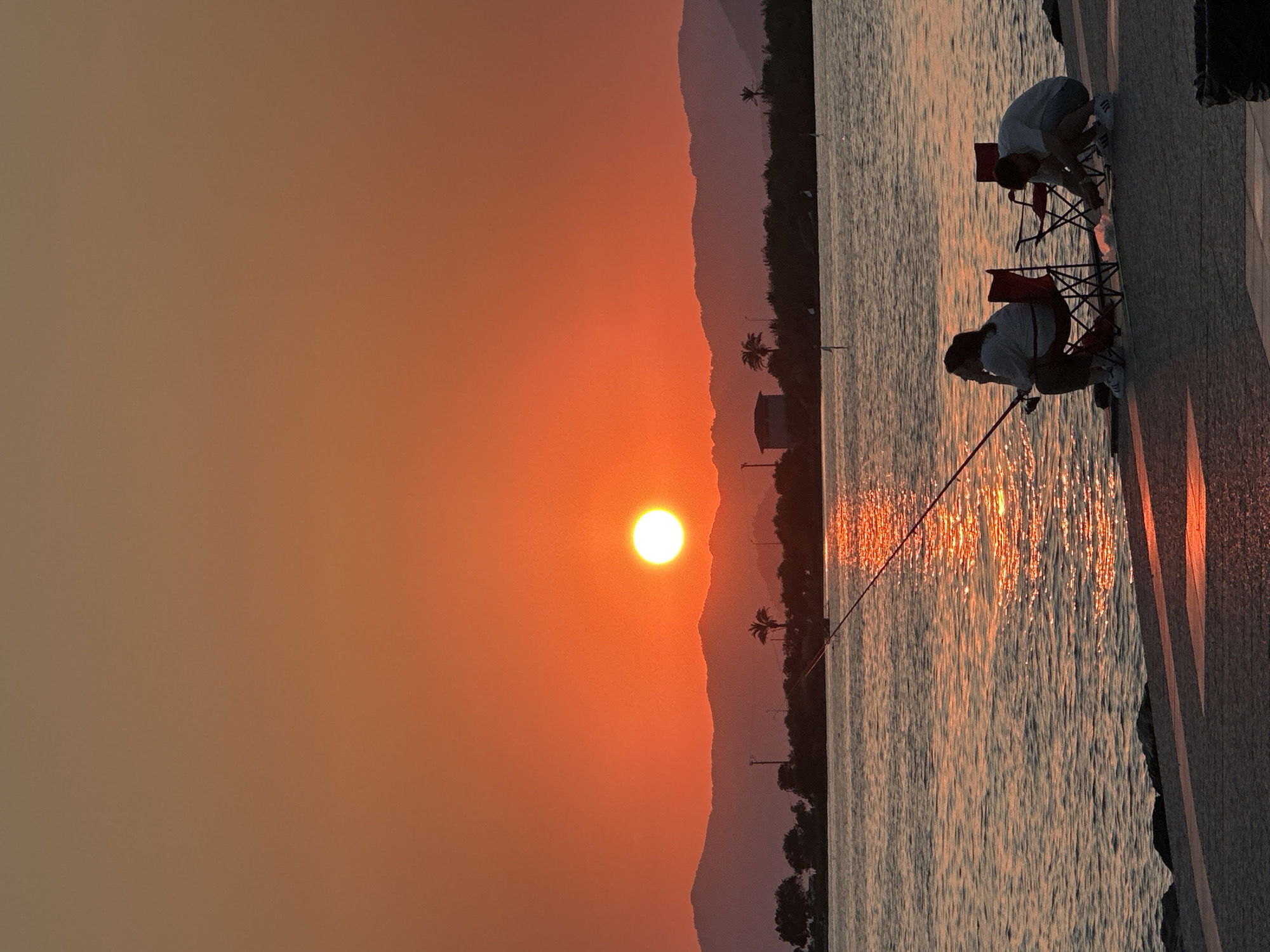 Sunset over Fethiye's waterfront, palm trees in frame