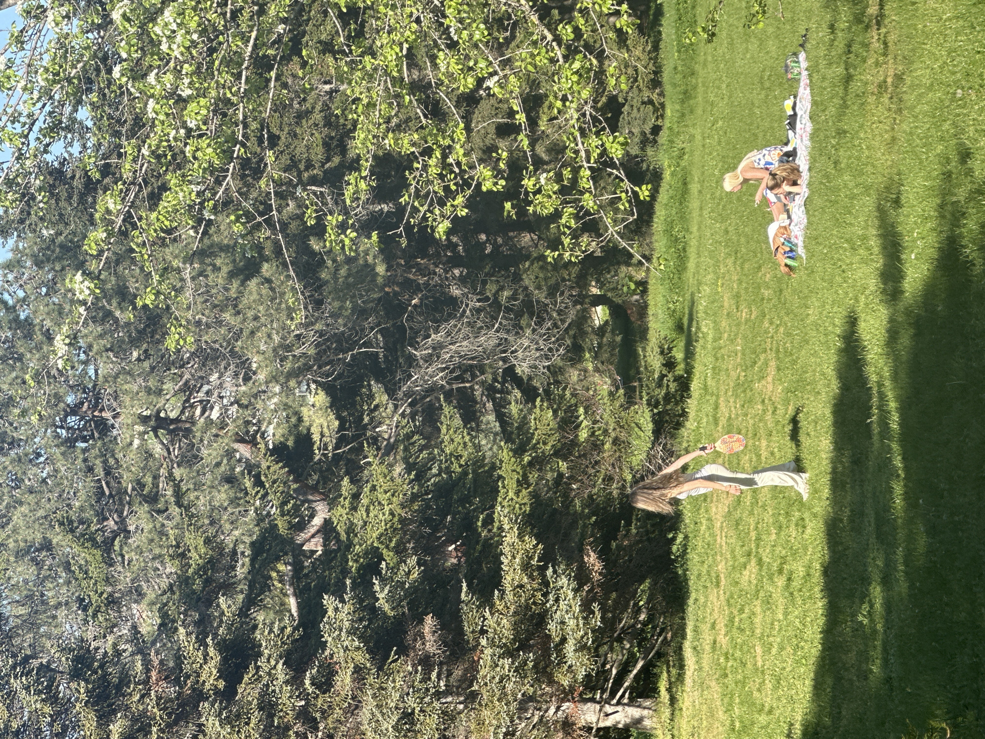 Spring tulip gardens bloom as residents picnic in Varna