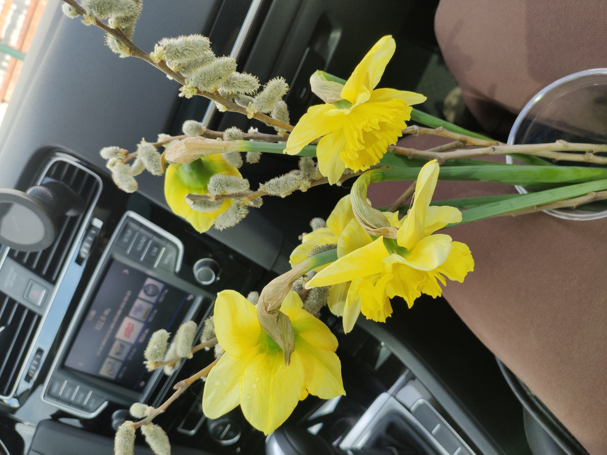 Spring flowers displayed inside vehicle dashboard and passenger seat