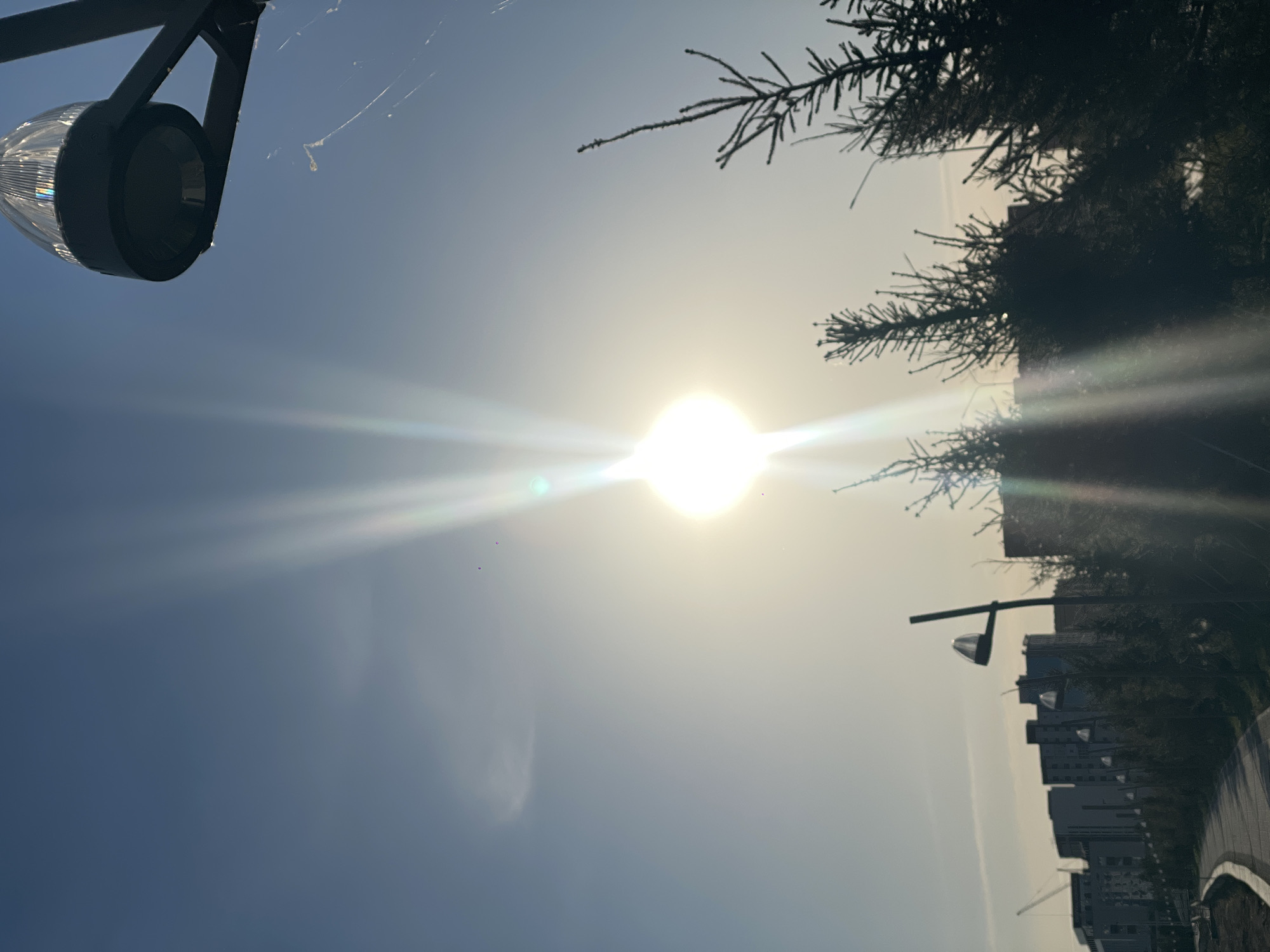 Daytime cityscape and park scenes documented in Kokshetau, Kazakhstan