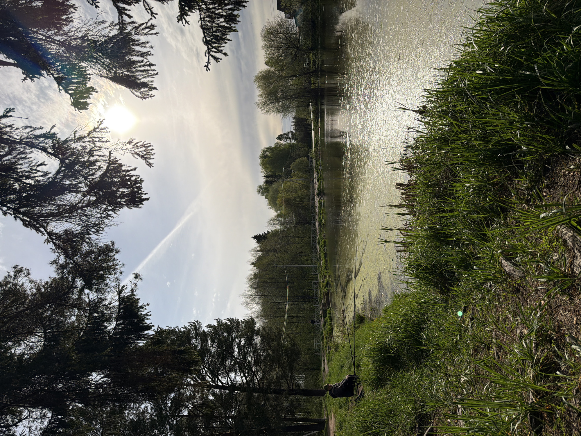 Early morning pond activities documented in Chaikovsky, Russia