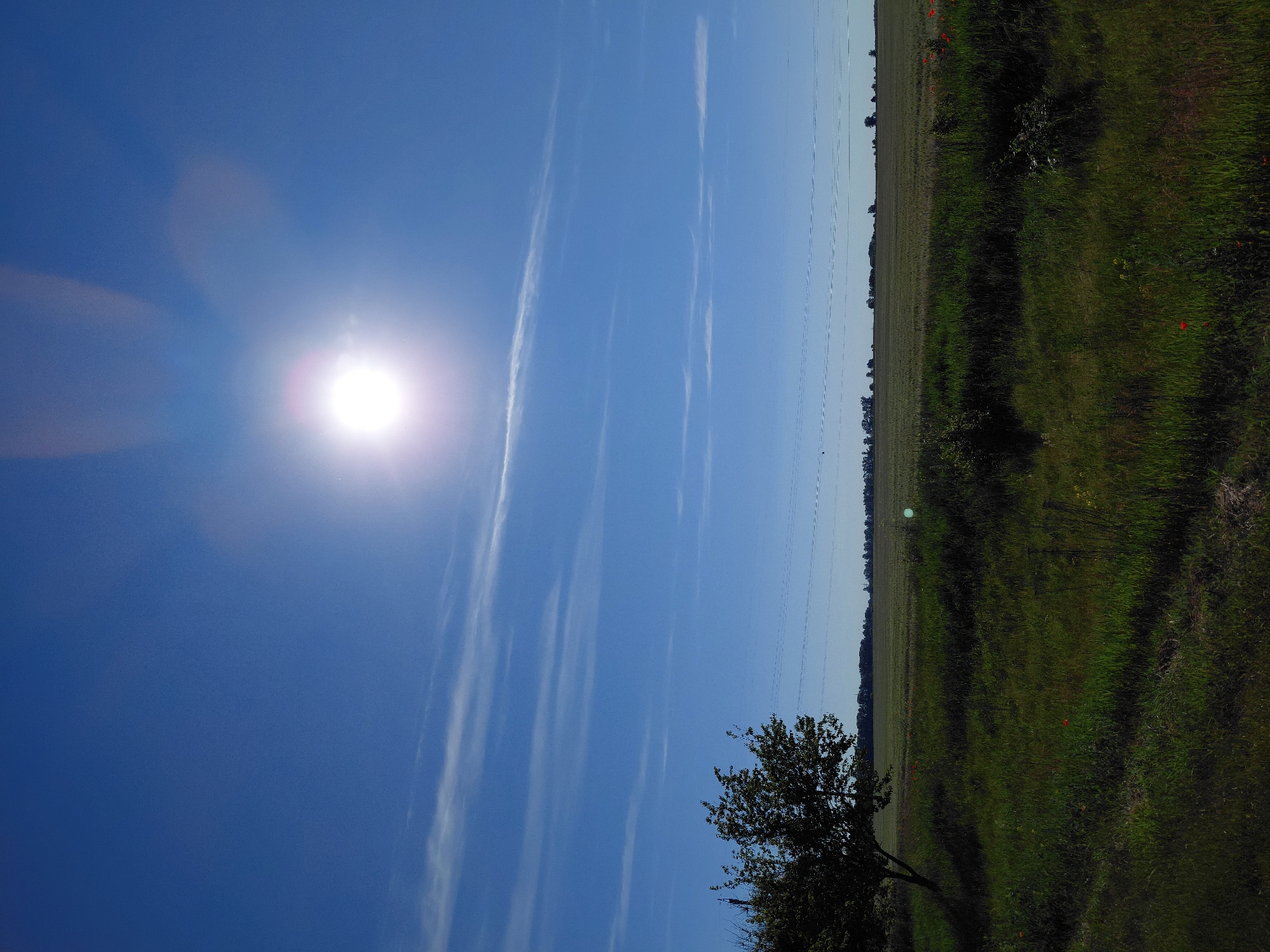 Clear morning skies documented over rural Hoholeve, Ukraine countryside