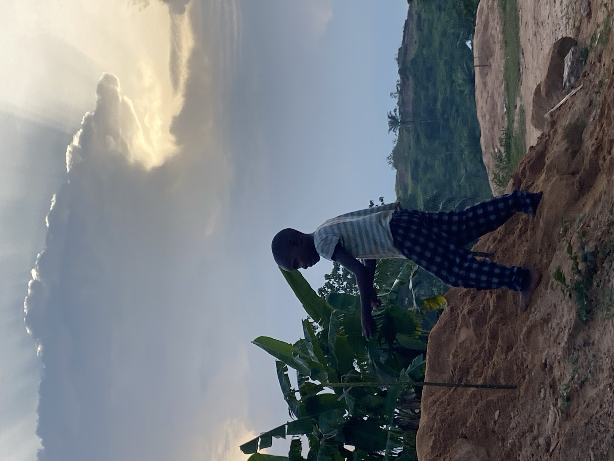 Person observed on soil mound amid banana plants in Ogbu