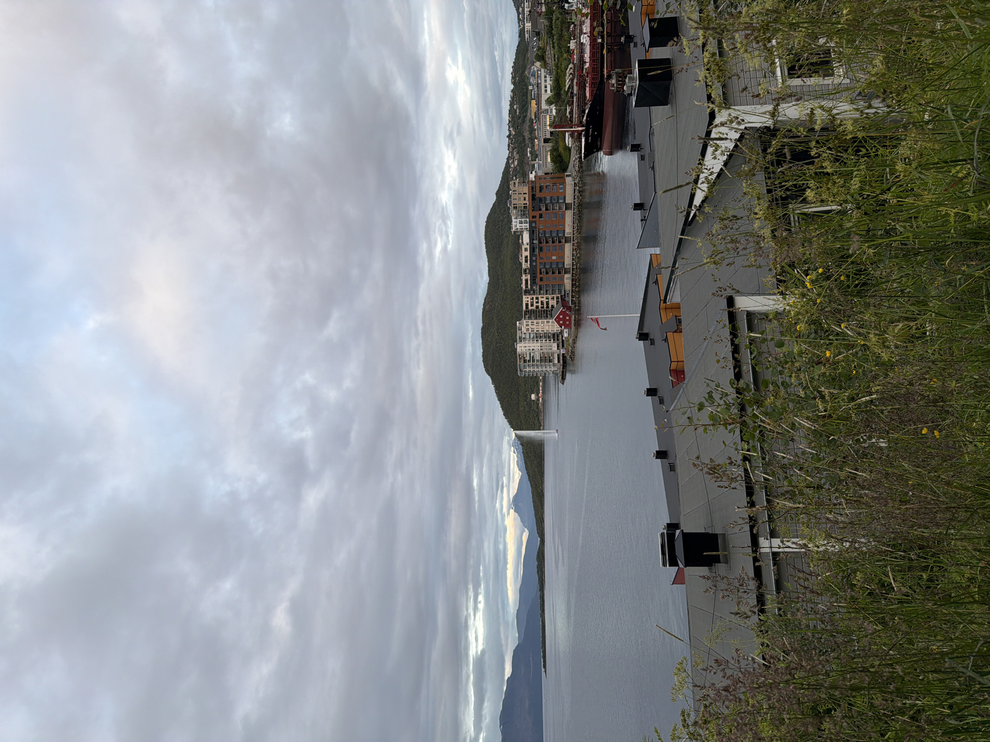 Harstad fjord at twilight, with a cat nap on the side