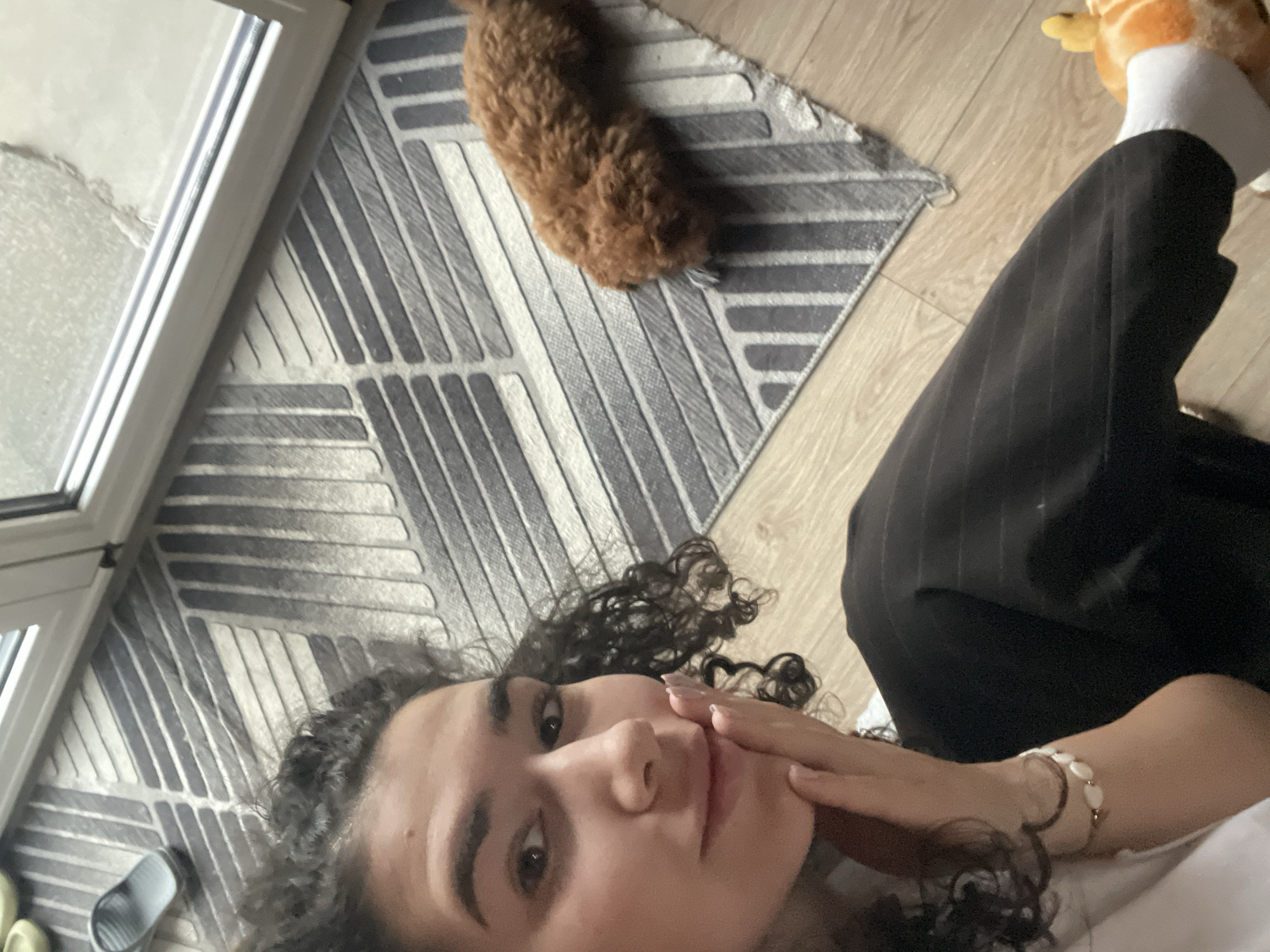 Woman and poodle play tug-of-war in Sofia apartment