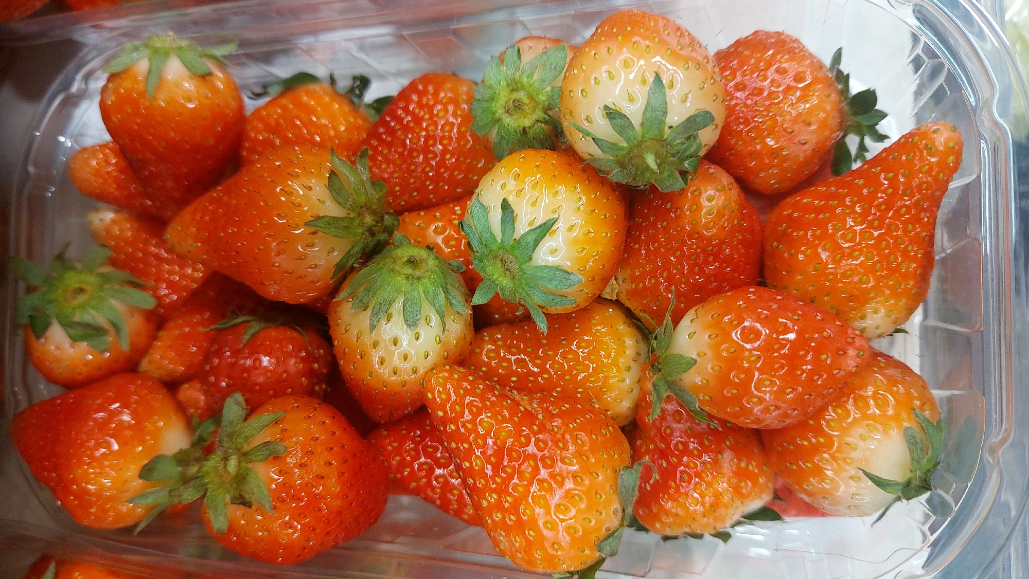 Shopping and food items documented across Novosibirsk retail locations