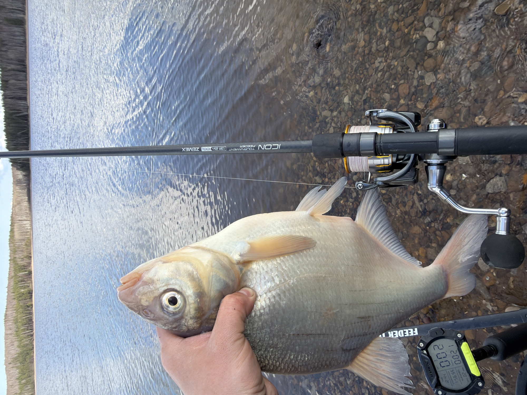 Morning fishing expedition yields multiple catches in Chaikovsky, Russia
