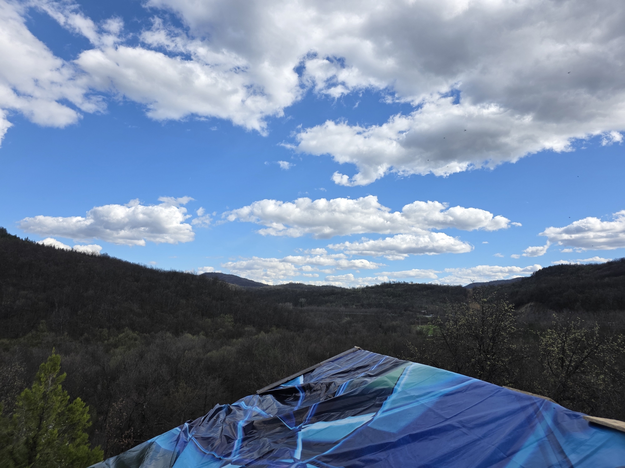 Spring landscape documented in rural Bulgaria shows bare forests