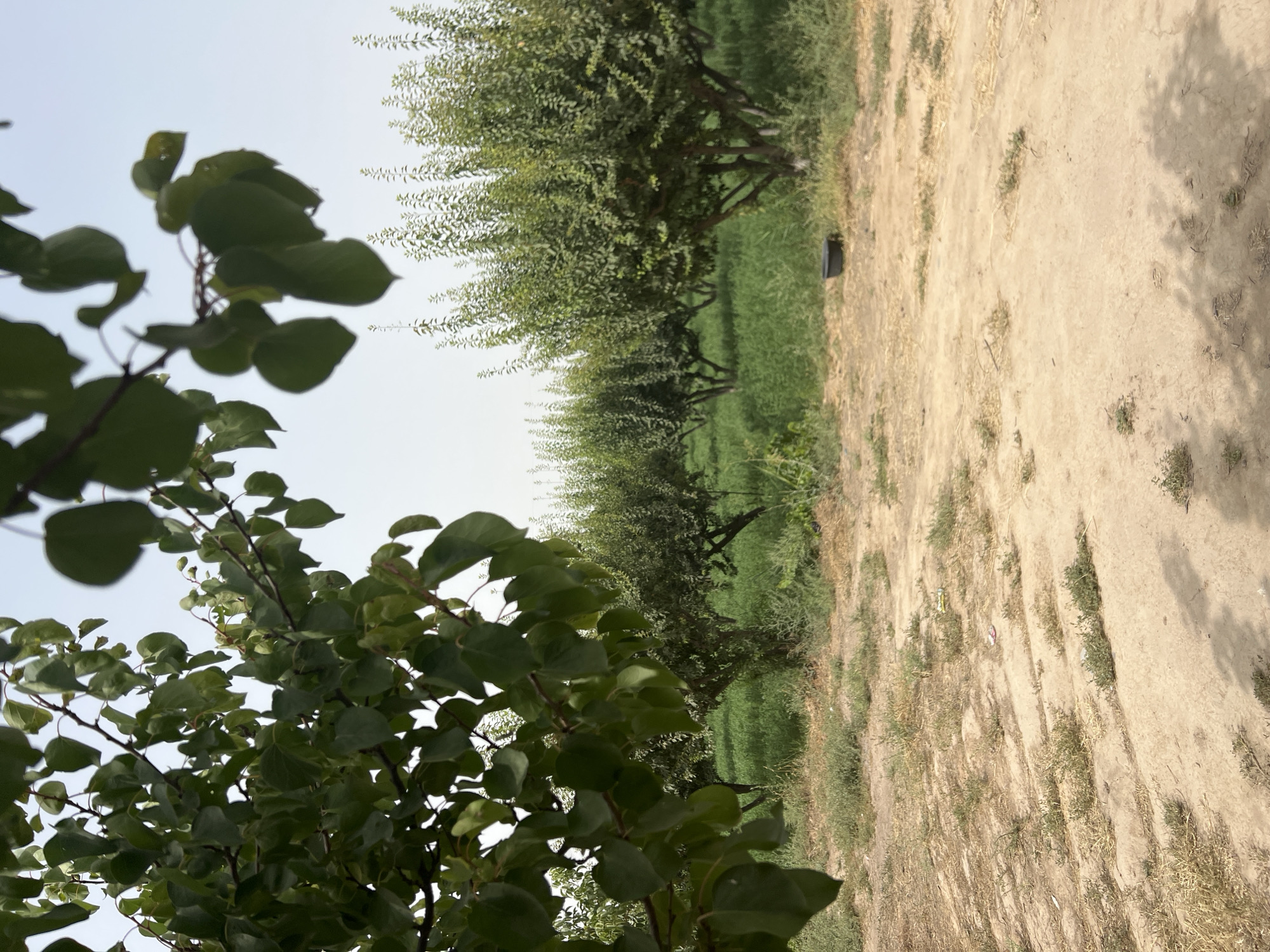 Roadside stop in Central Asia: car trouble, litter, and a container restaurant