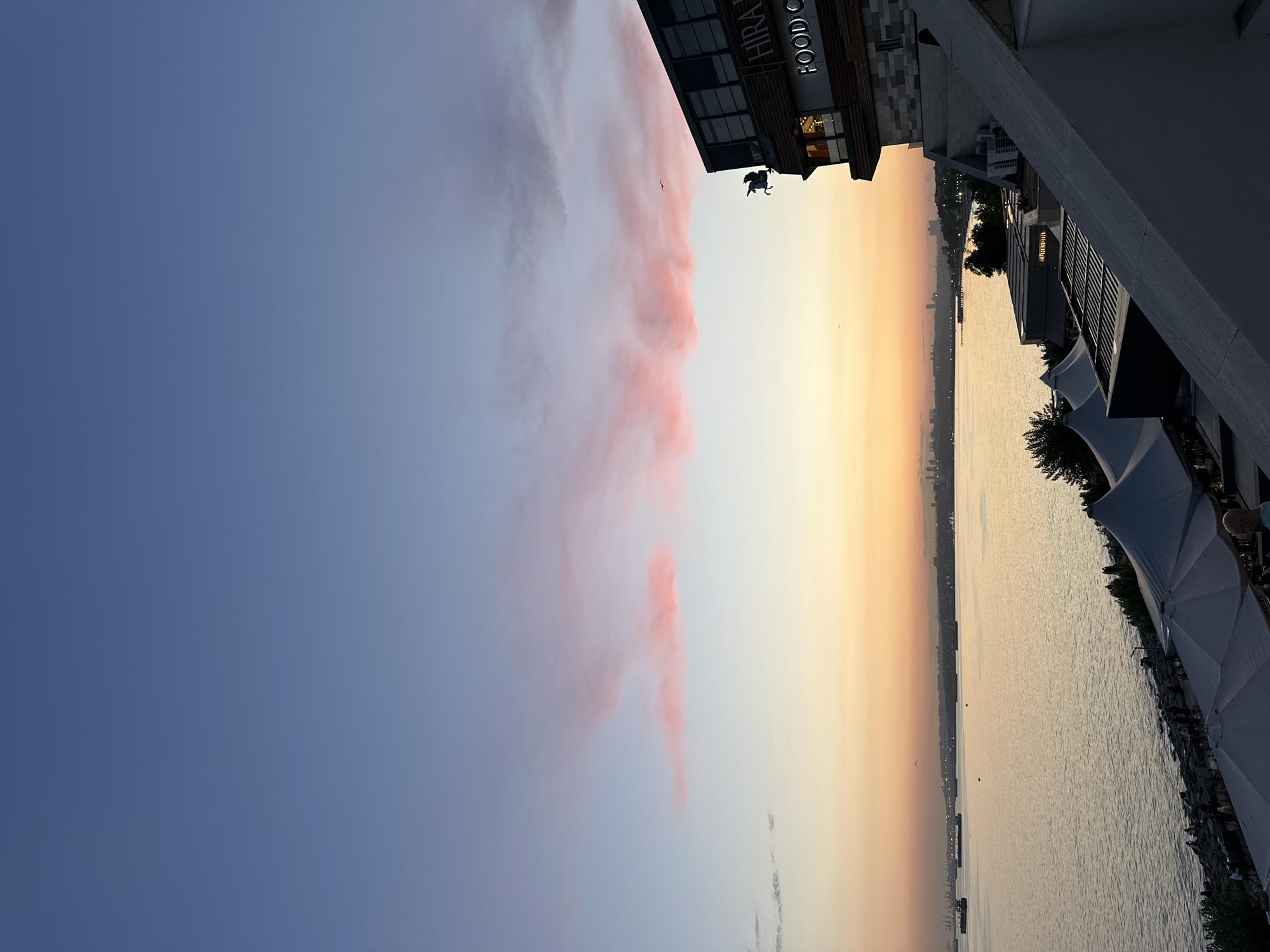 Bakırköy waterfront at golden hour, cats, ships, and street music