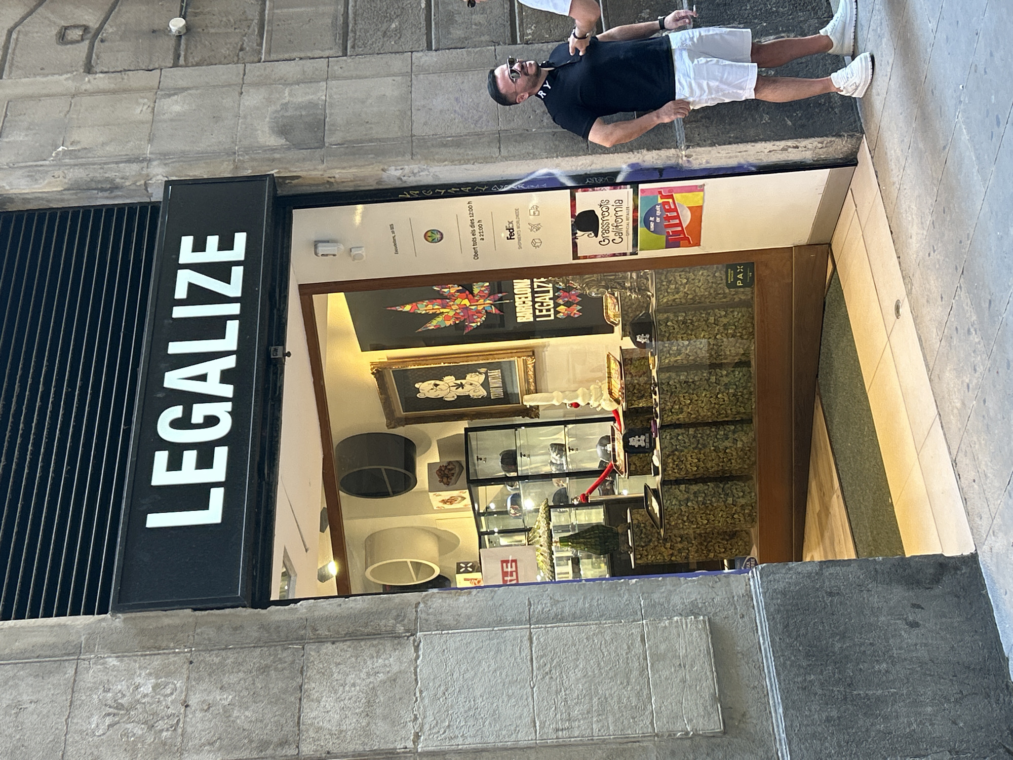 Barcelona resident documents quiet afternoon with pet cat
