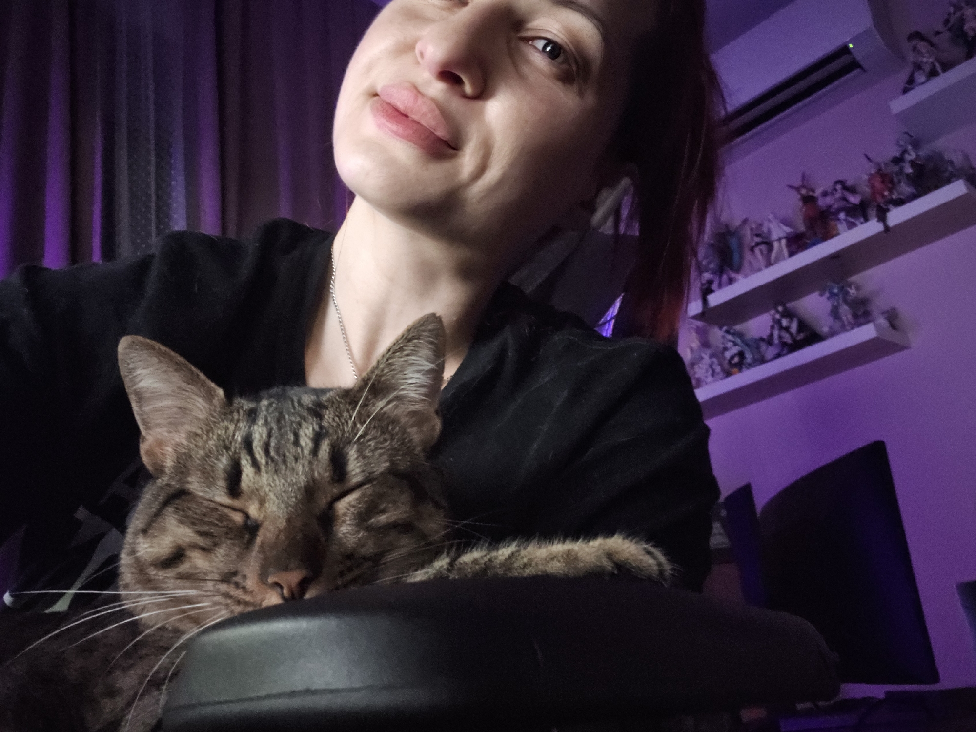 Chilling with a tabby cat in a gaming chair, Burgas