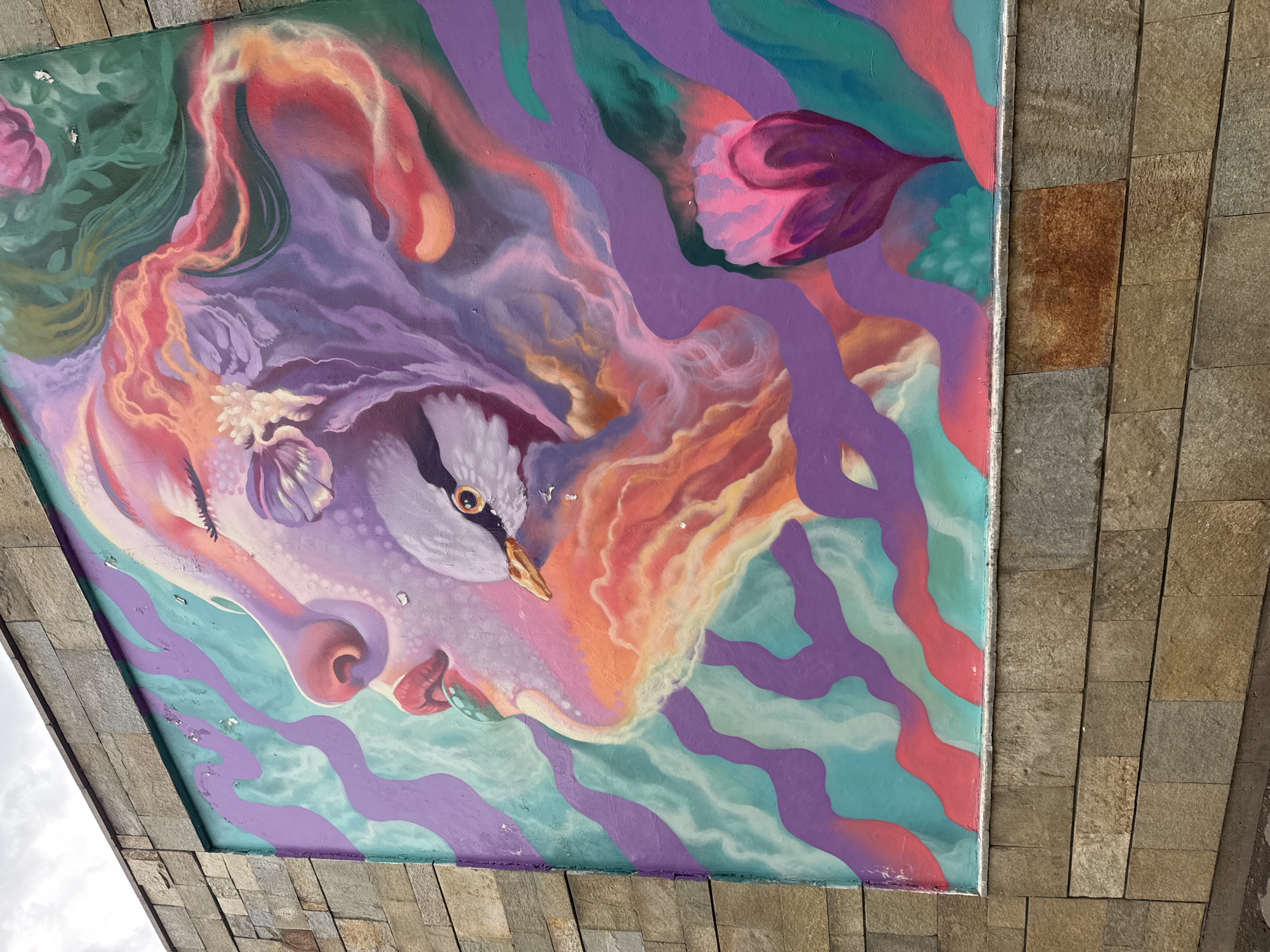 Street Art Documentation Tour Captured Across Sofia Bulgaria