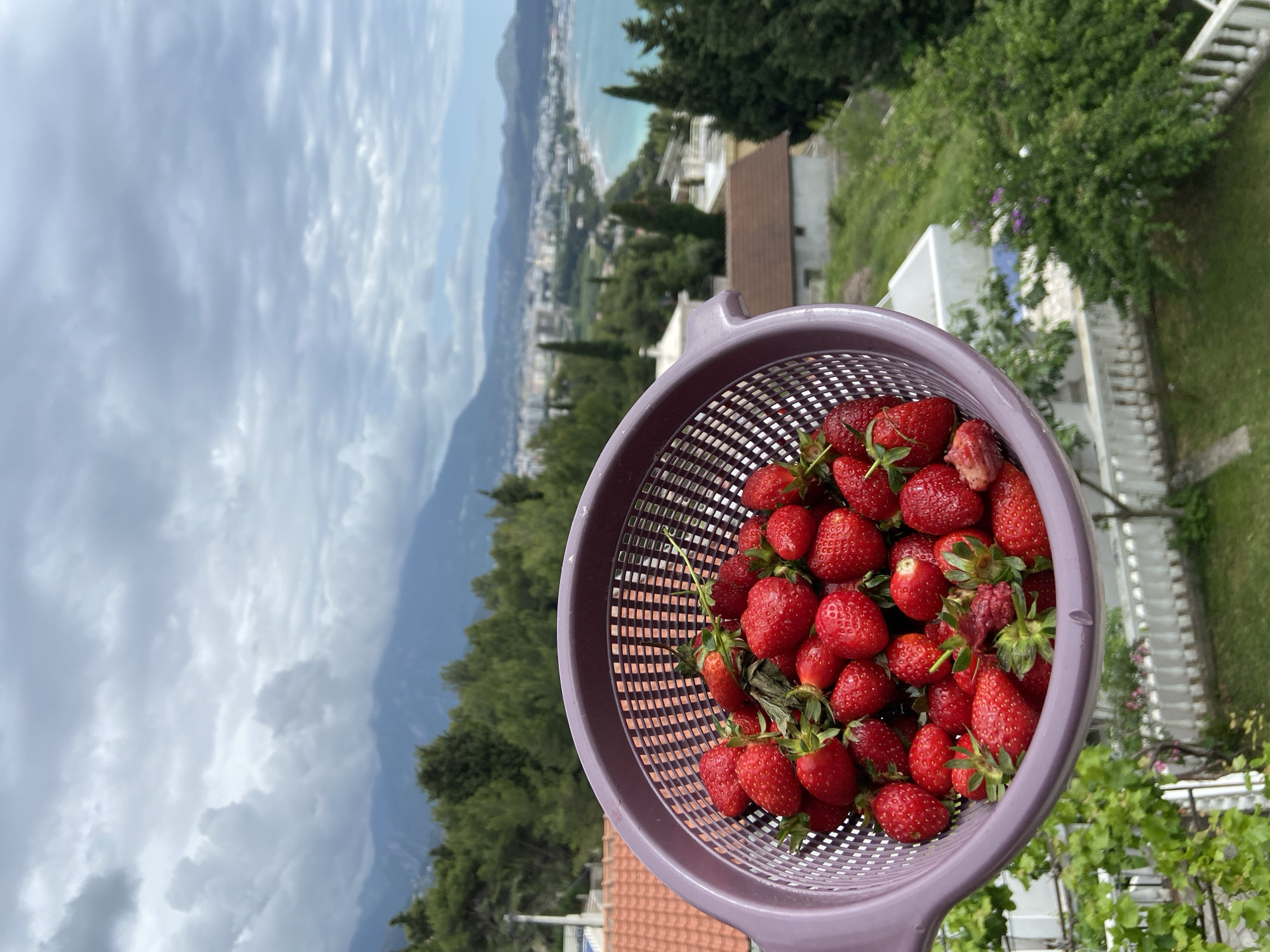 Man enjoys fresh strawberries on balcony in Montenegro