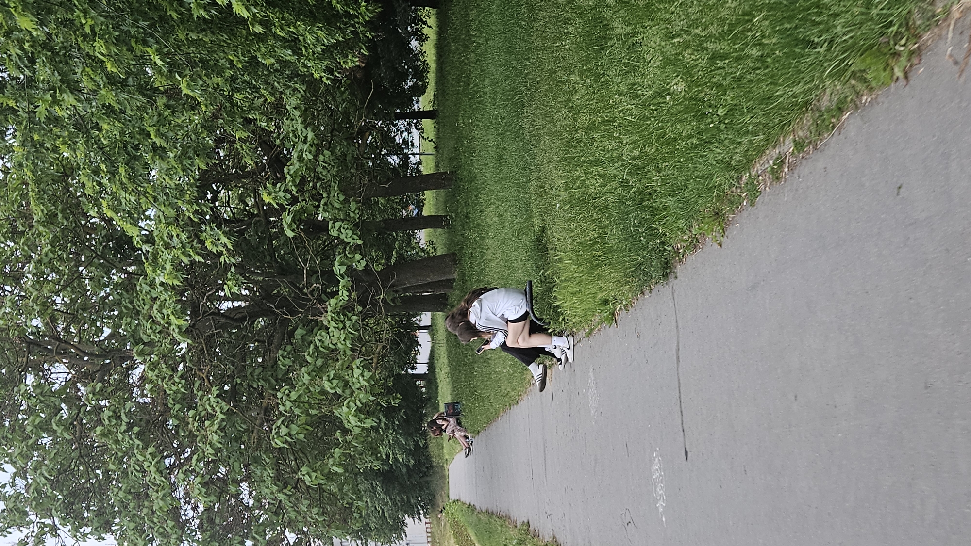 Park pathway scene documented in Prešov, Slovakia