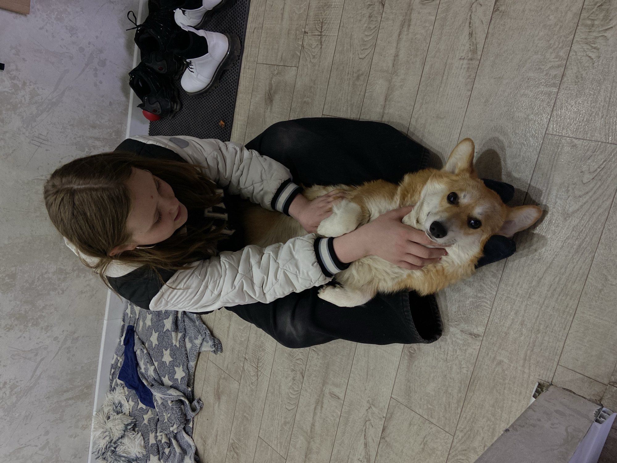 Morning moments captured across Chaikovsky: pets, portraits, traffic