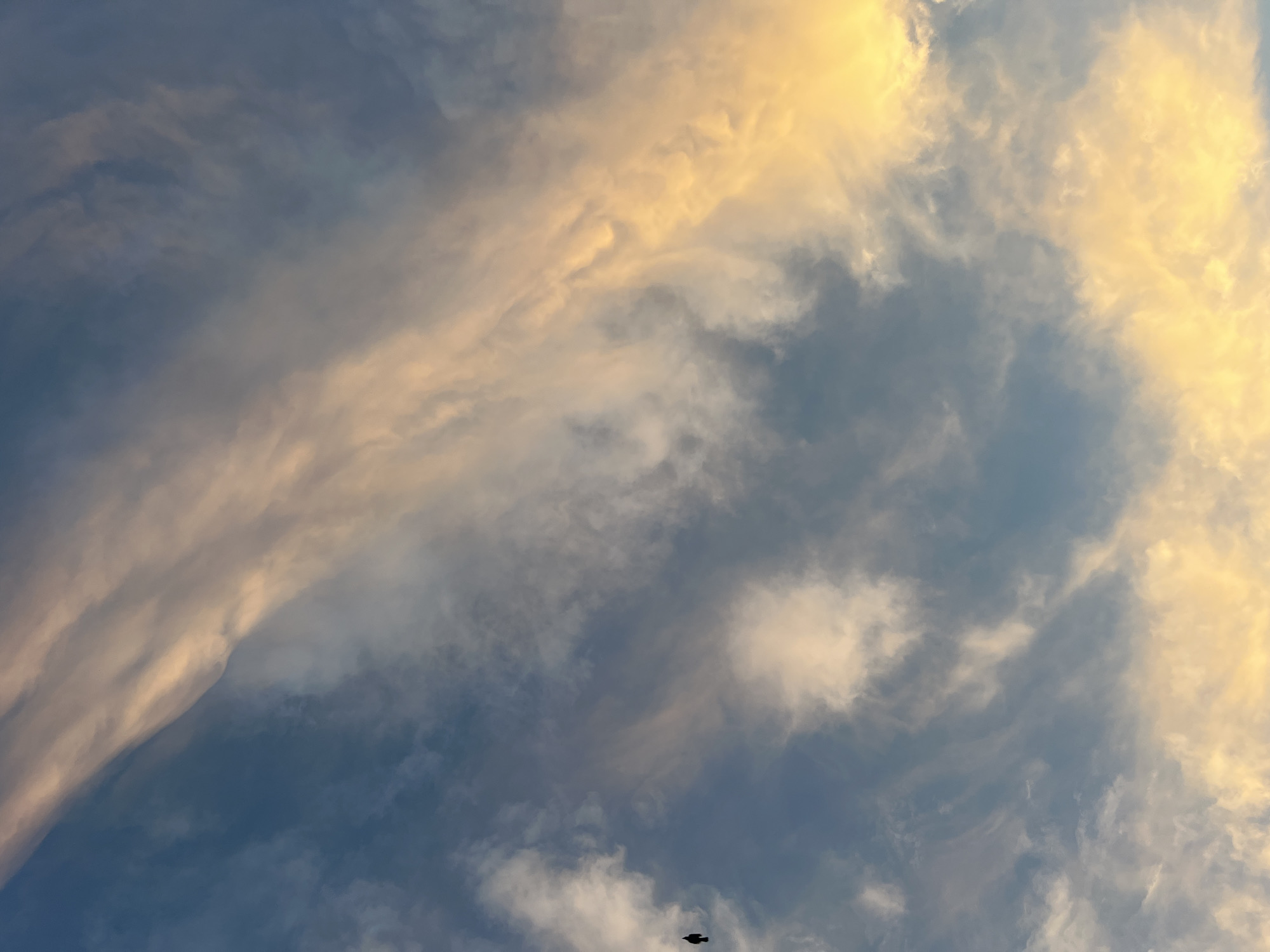 Dusk sky with warm clouds, shot from multiple angles