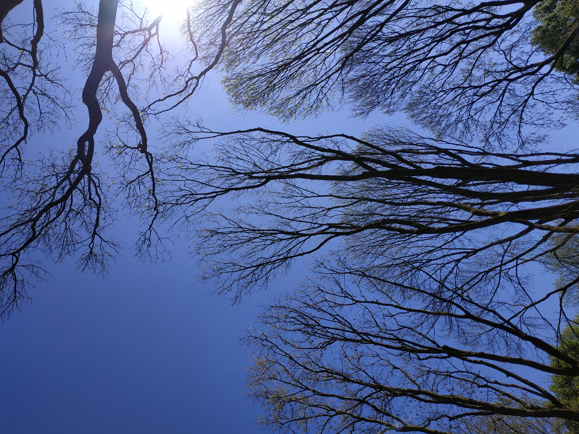 Spring morning park walk documented in Dortmund