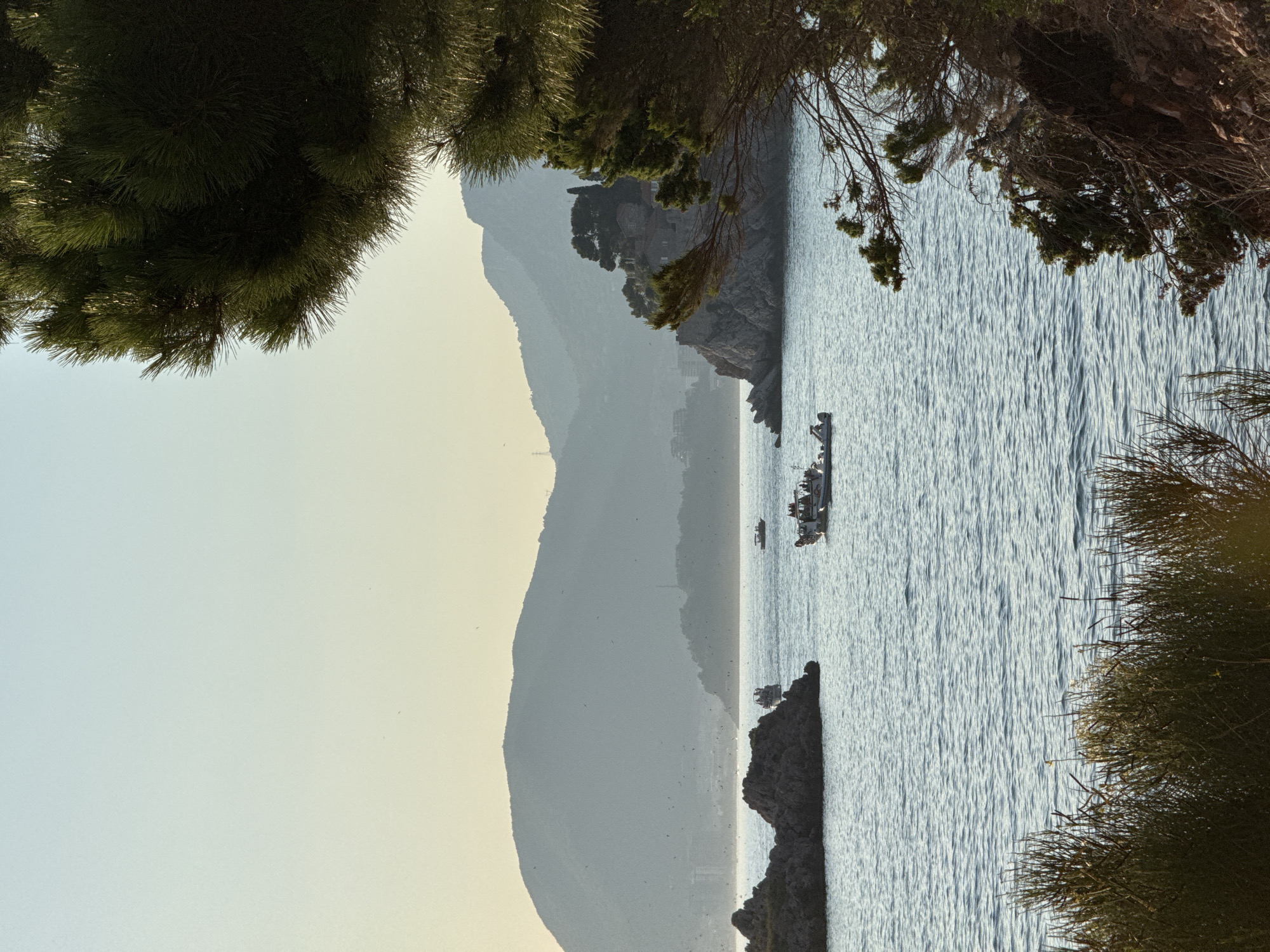 Budva coastline through green foliage in warm afternoon light.
