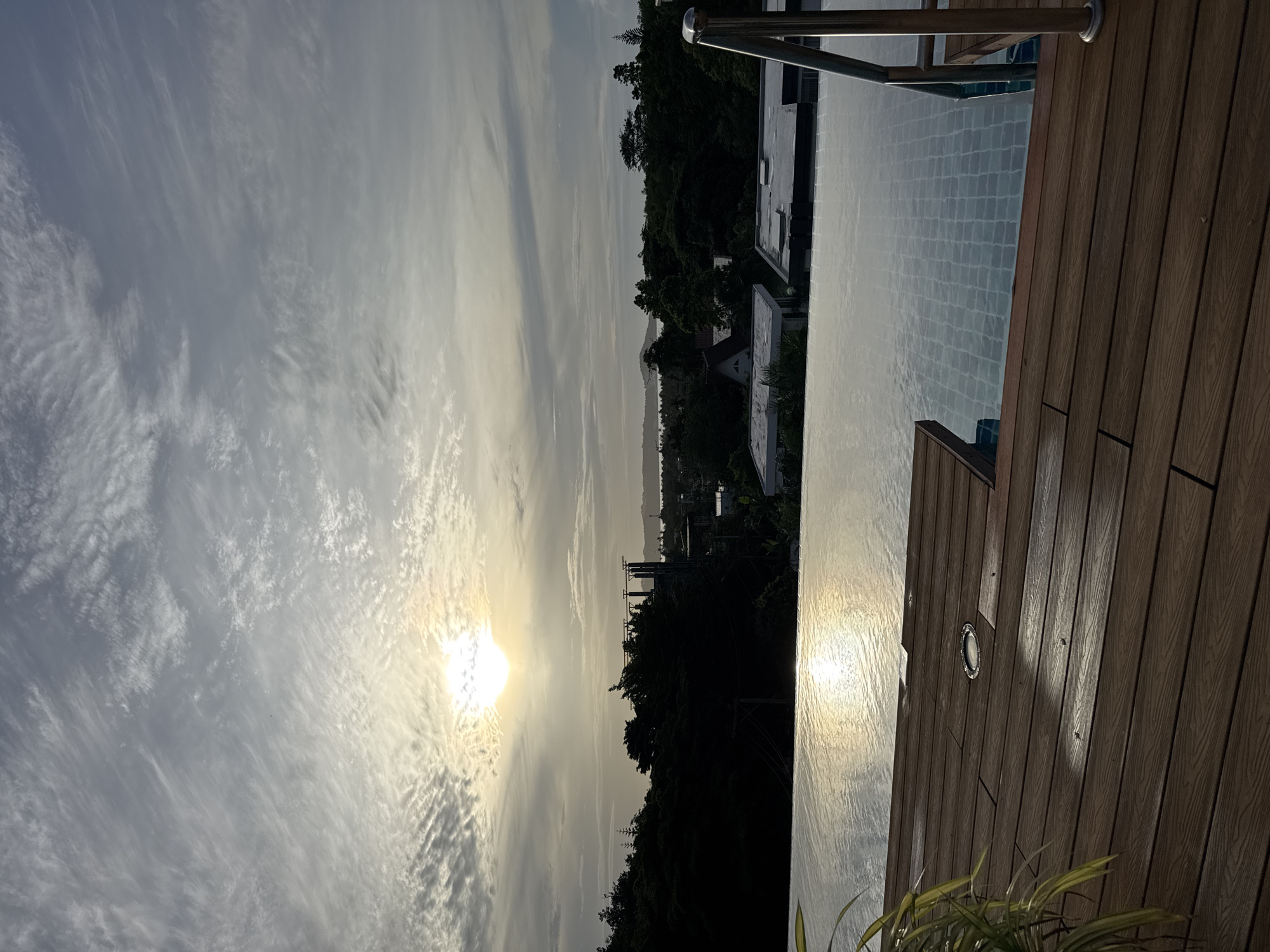 Morning documentation of tropical life in Rawai, Thailand
