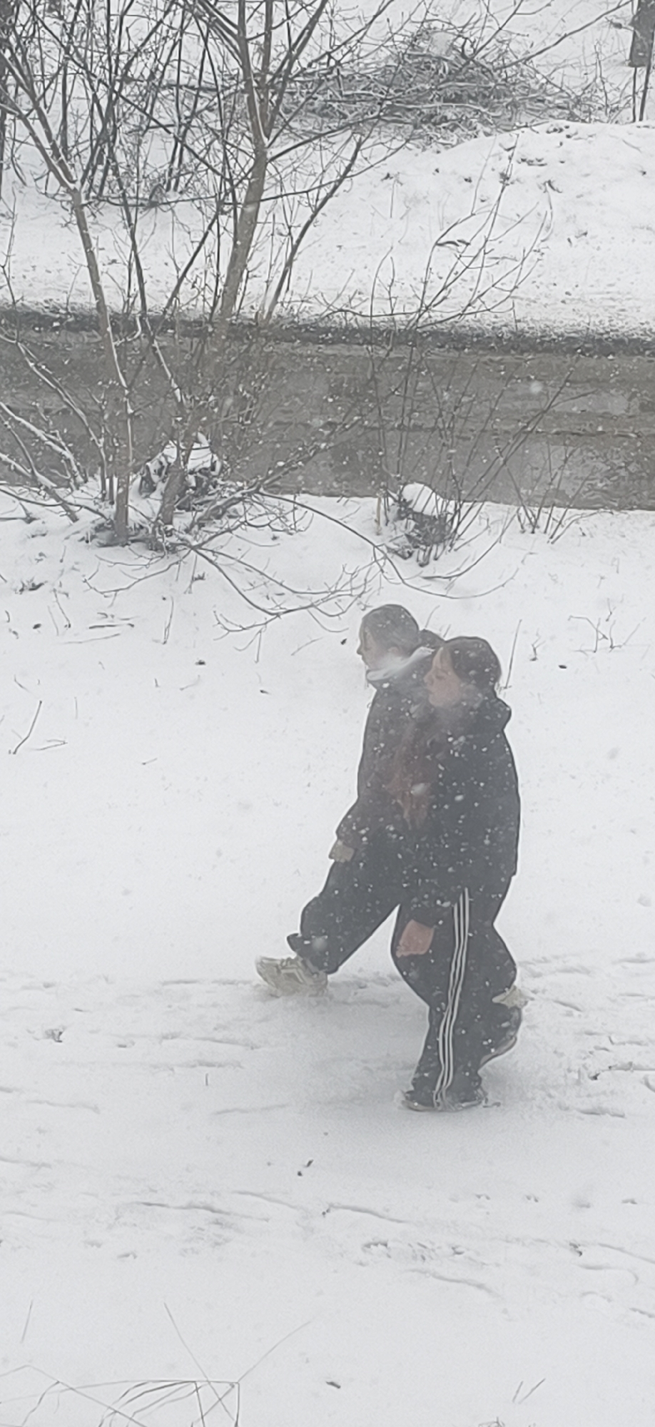 Snow walkers and digital display spotted in same area