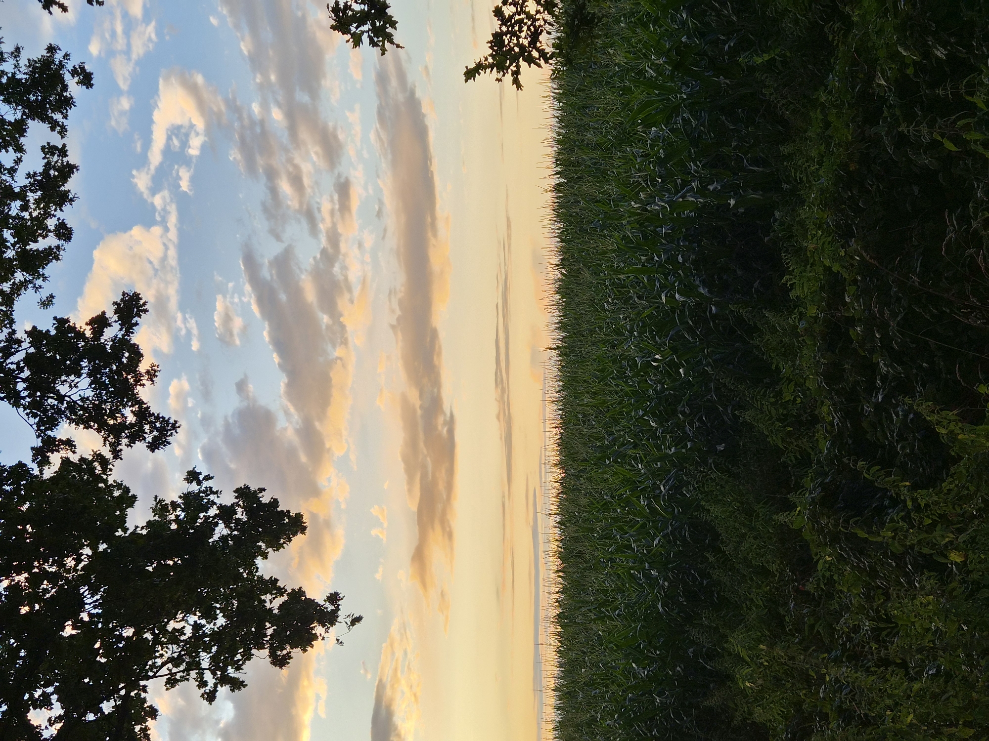 Late summer evening across Schiffdorf farmland and fields