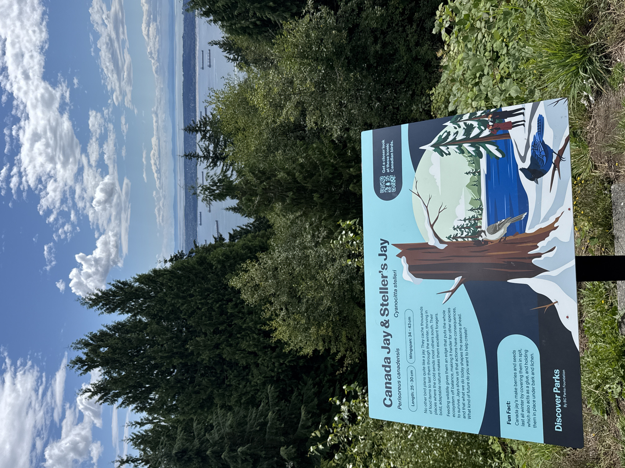 West Vancouver park sign highlights local jay species