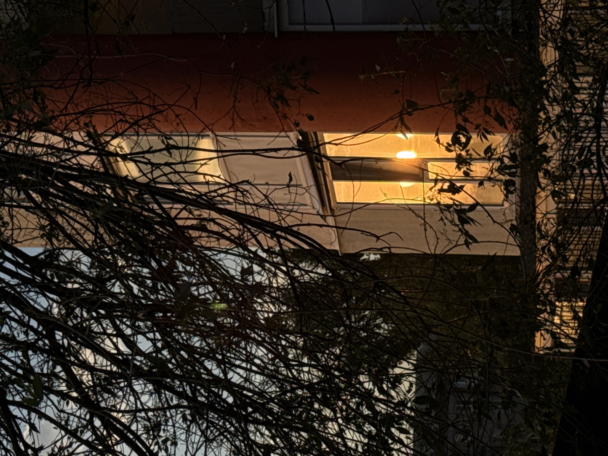 Cats, fruit, and golden-hour skies in Raivka, Ukraine
