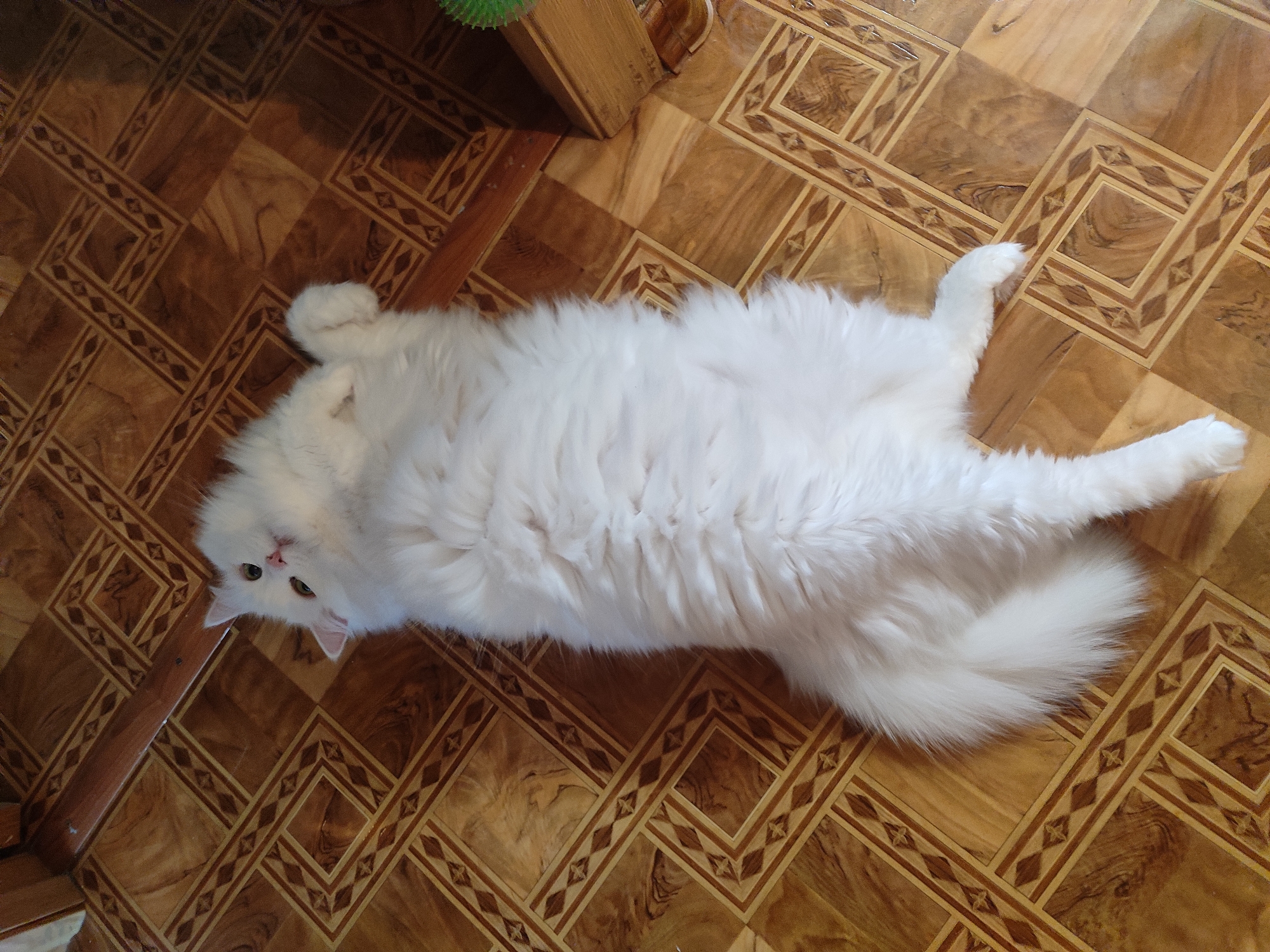 Event