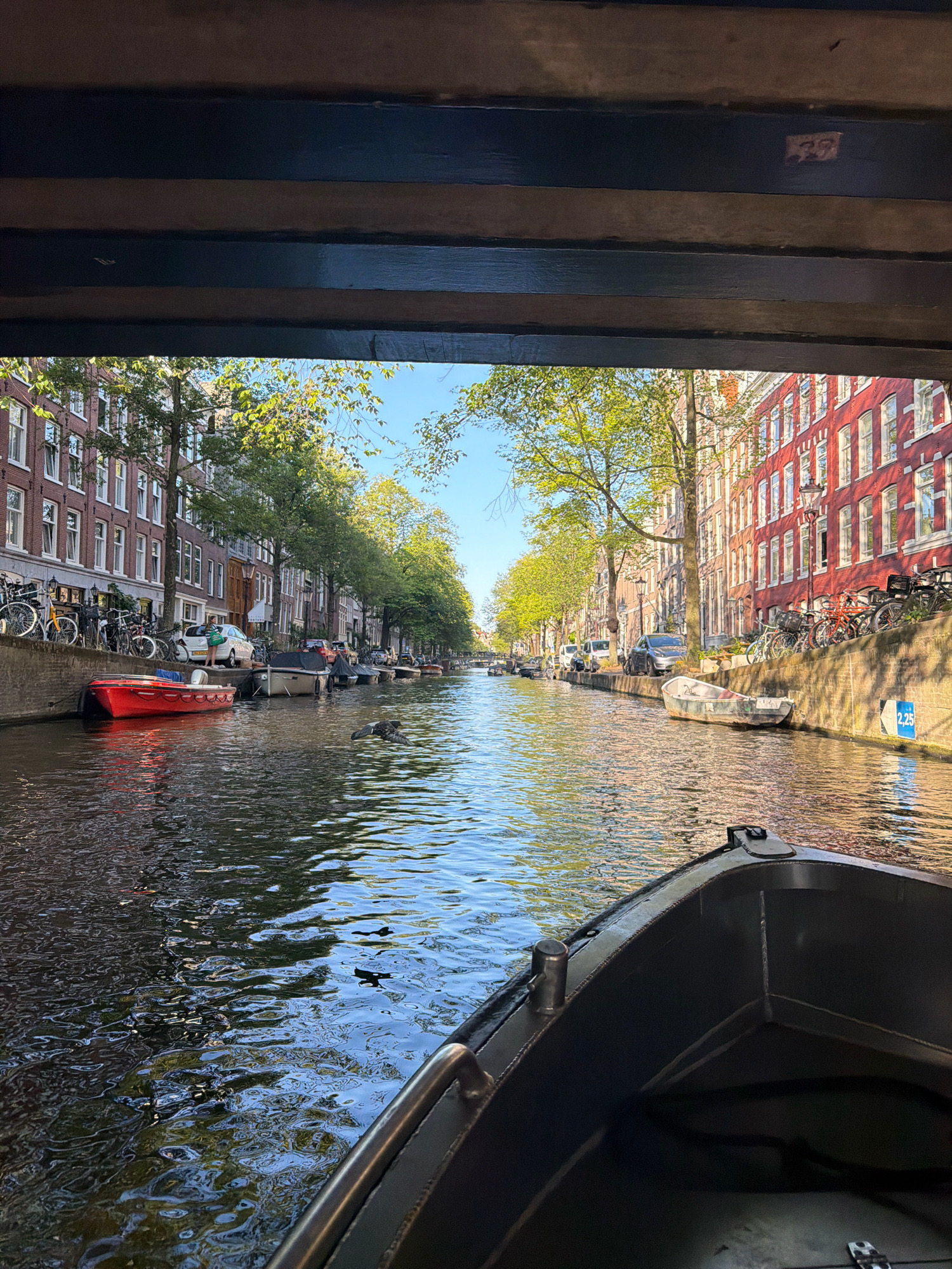 Afternoon canal cruise through Amsterdam with drinks in hand