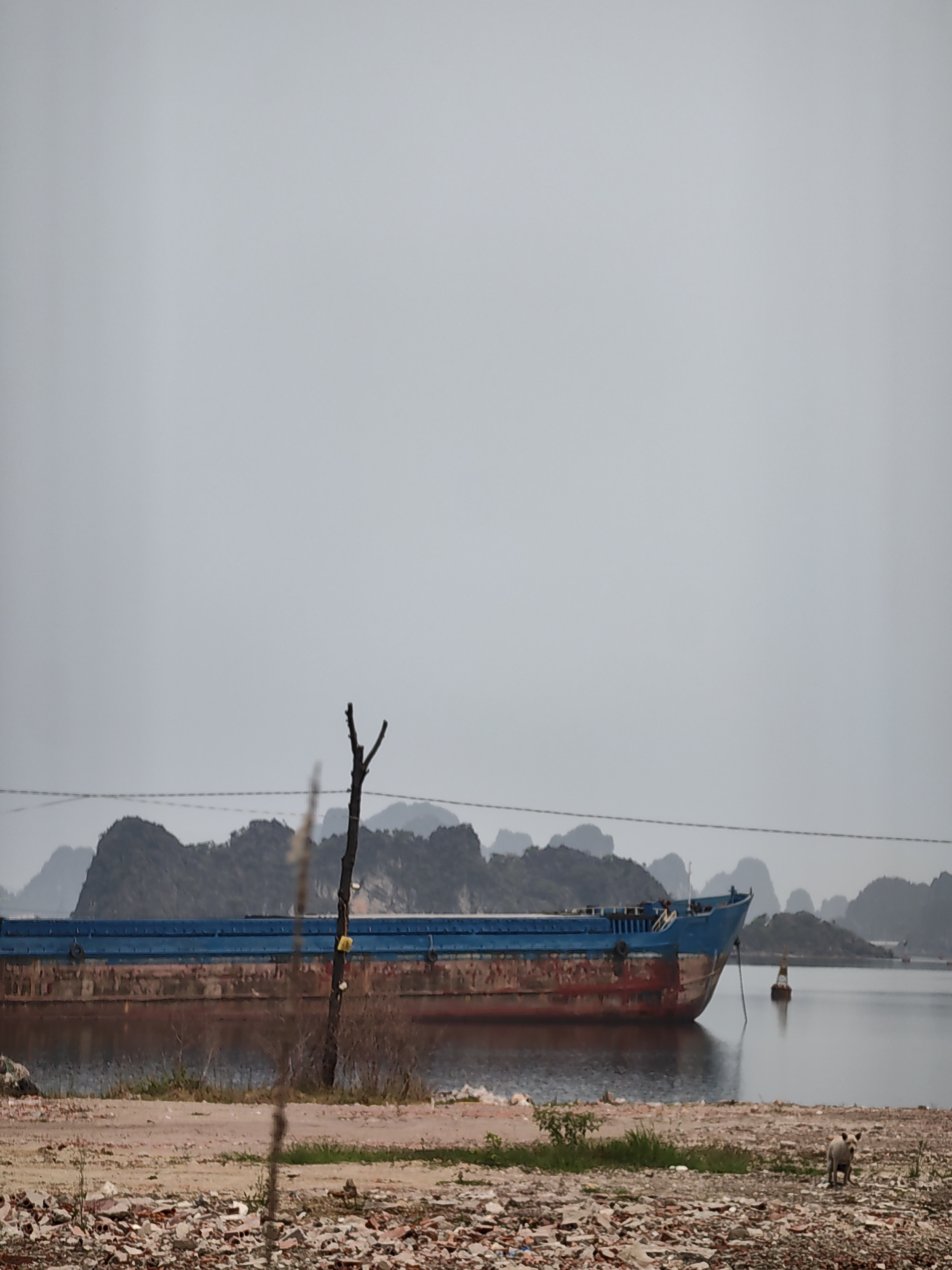 Abandoned barge spotted in Quang Hanh Ward harbor