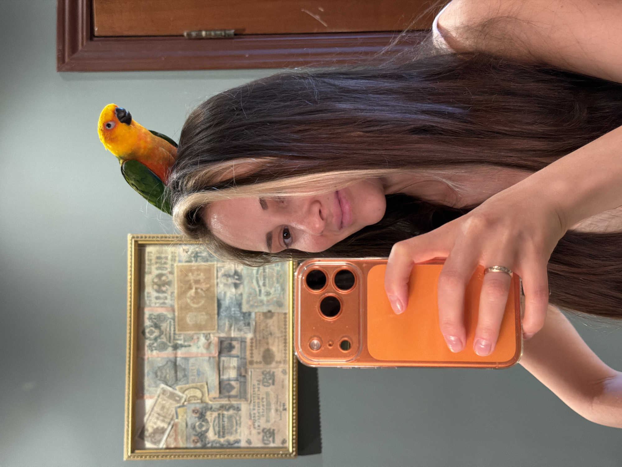 Person takes selfie with parrot perched on head