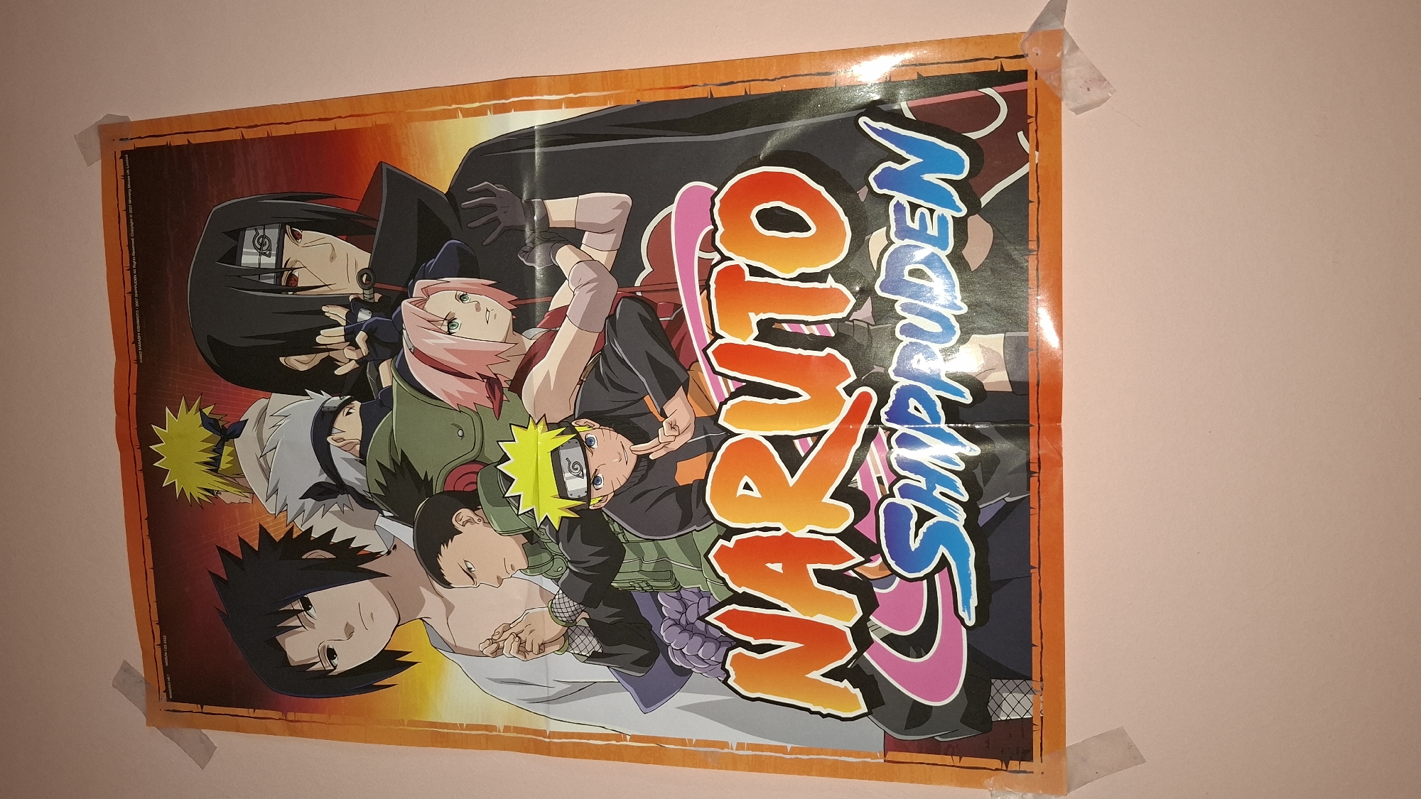 Anime fan's bedroom documented in Sofia with collectibles and pets