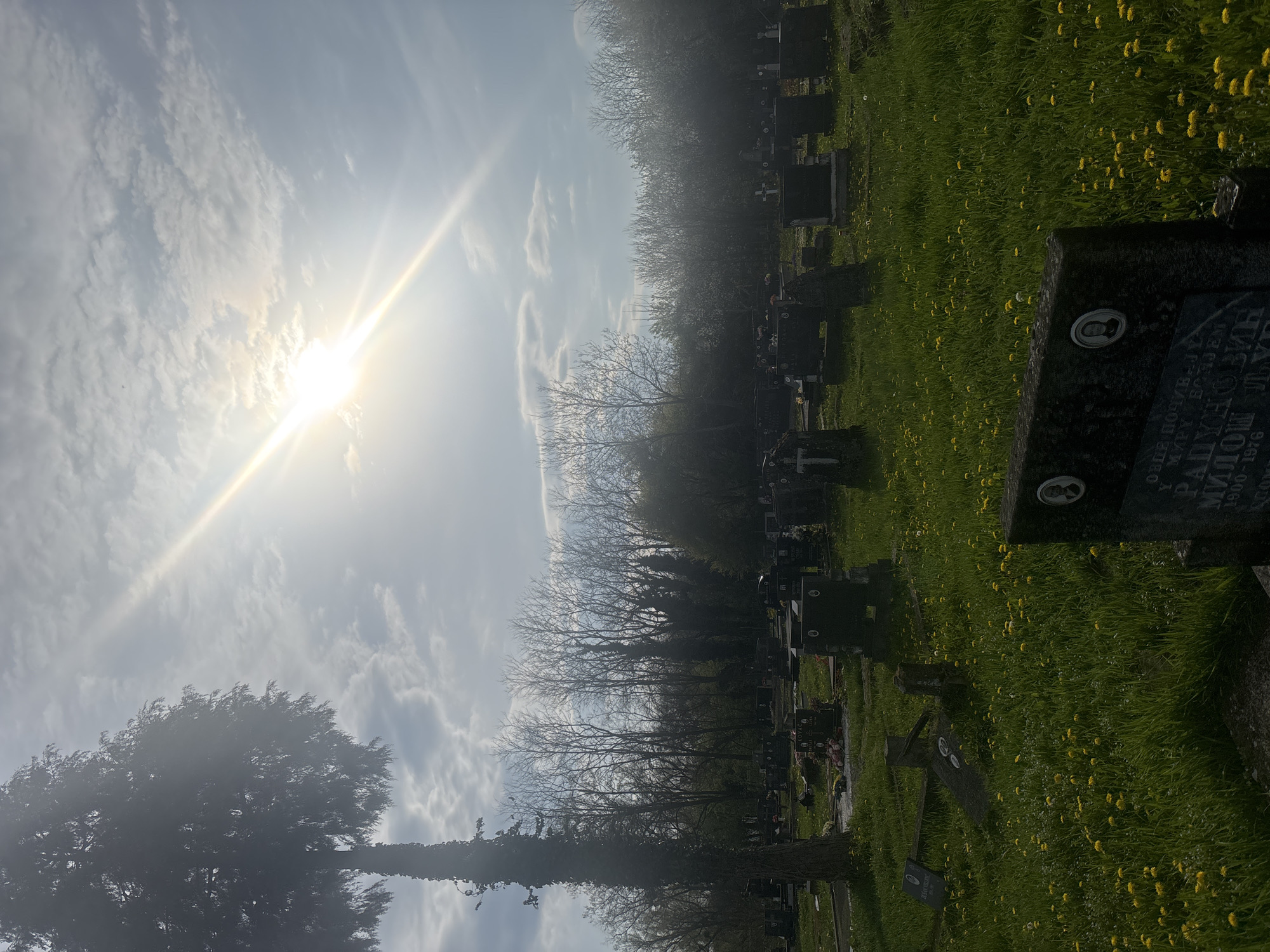 Spring scenes documented in Hrvatska Dubica, Croatia