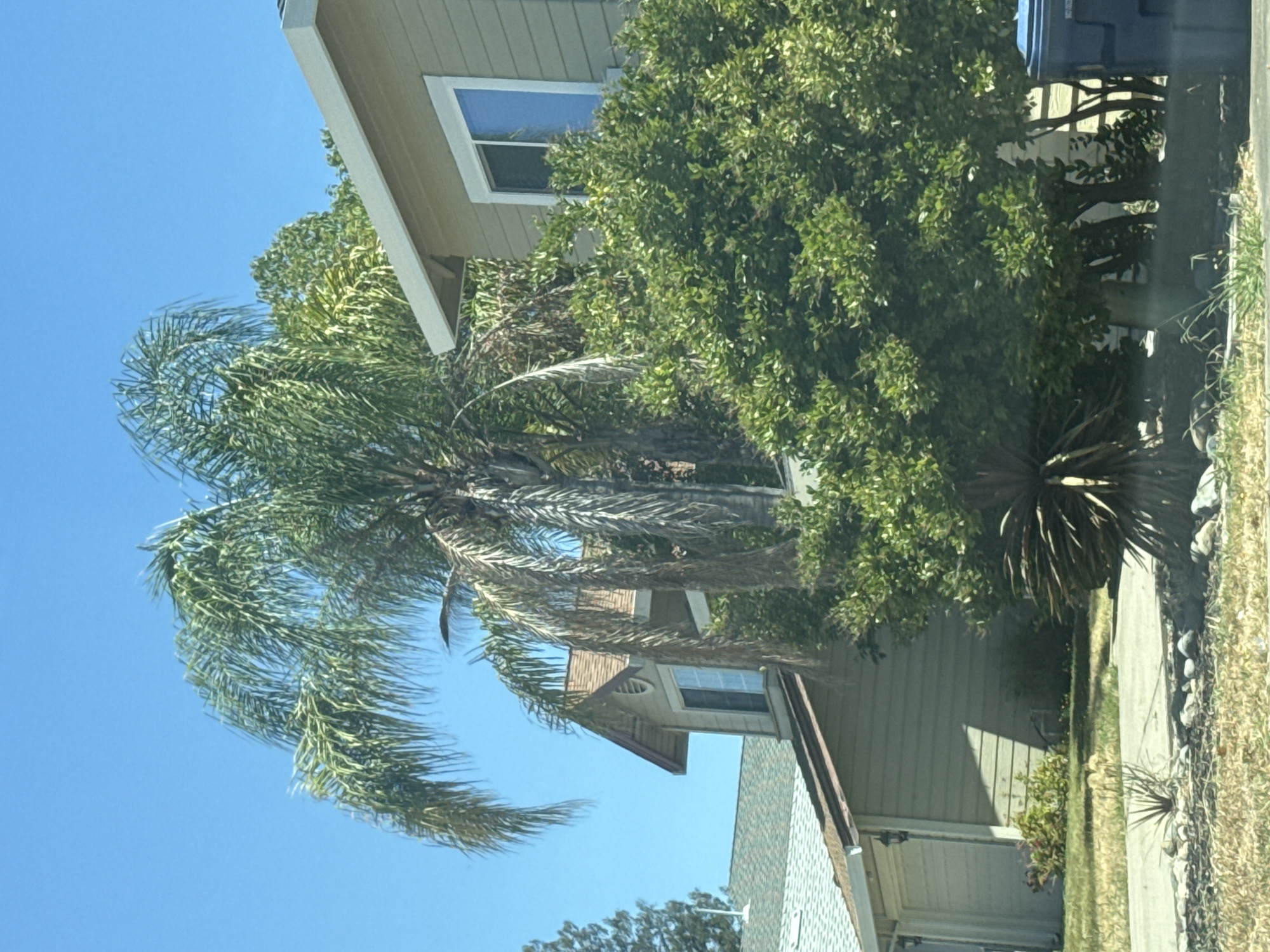 Quiet suburban street in Antelope, California on a sunny day