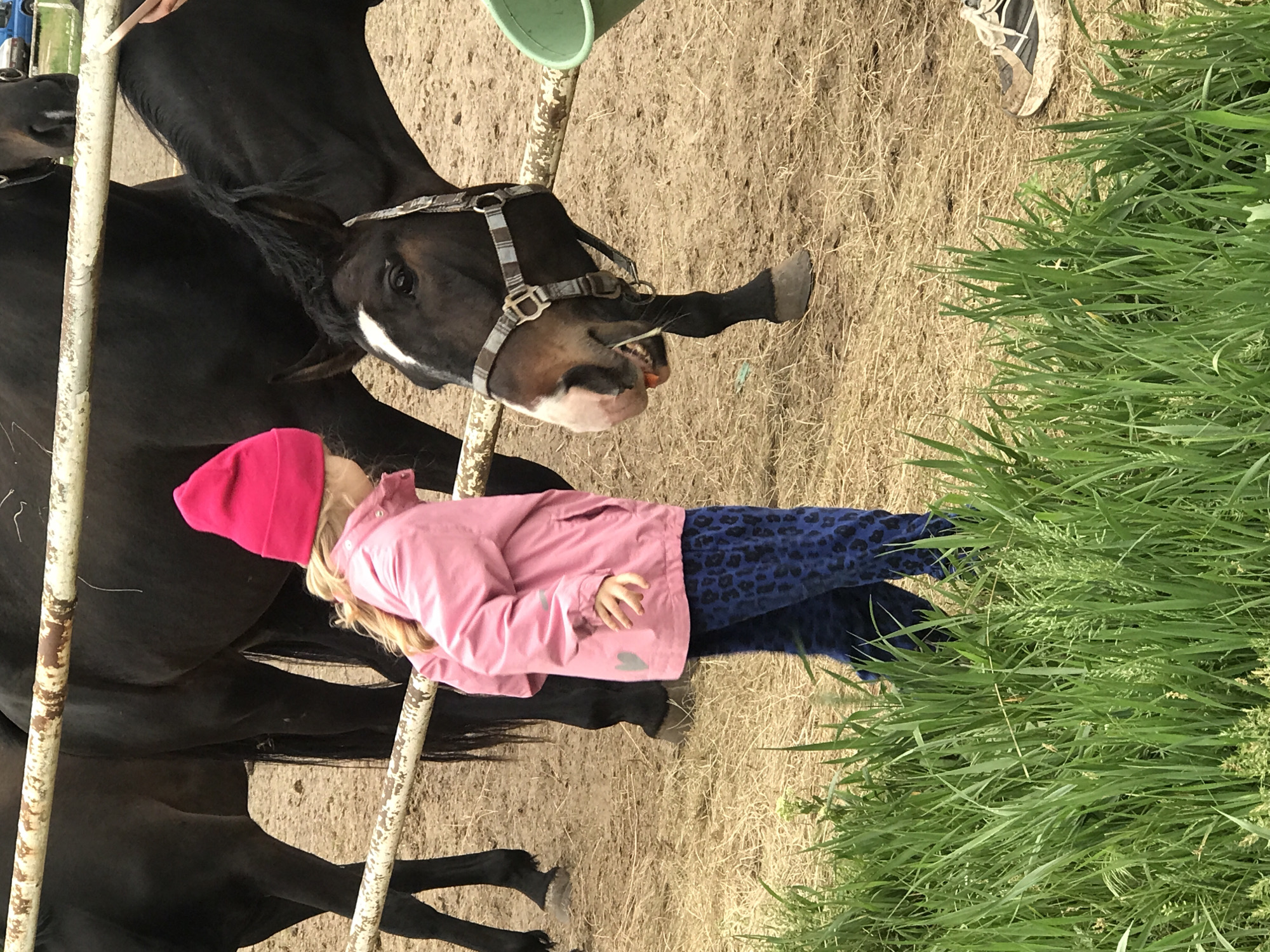 Woman, child feed horses in Kharkiv enclosure