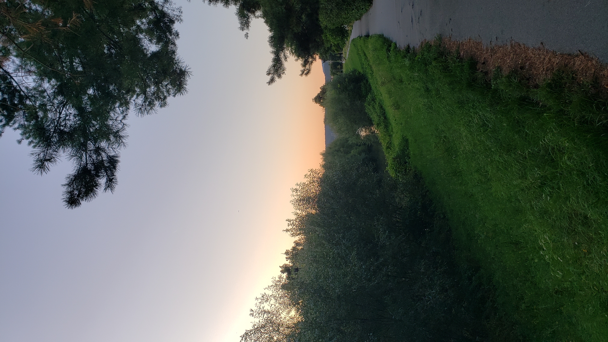Evening activity along the Sekčov River path in Prešov