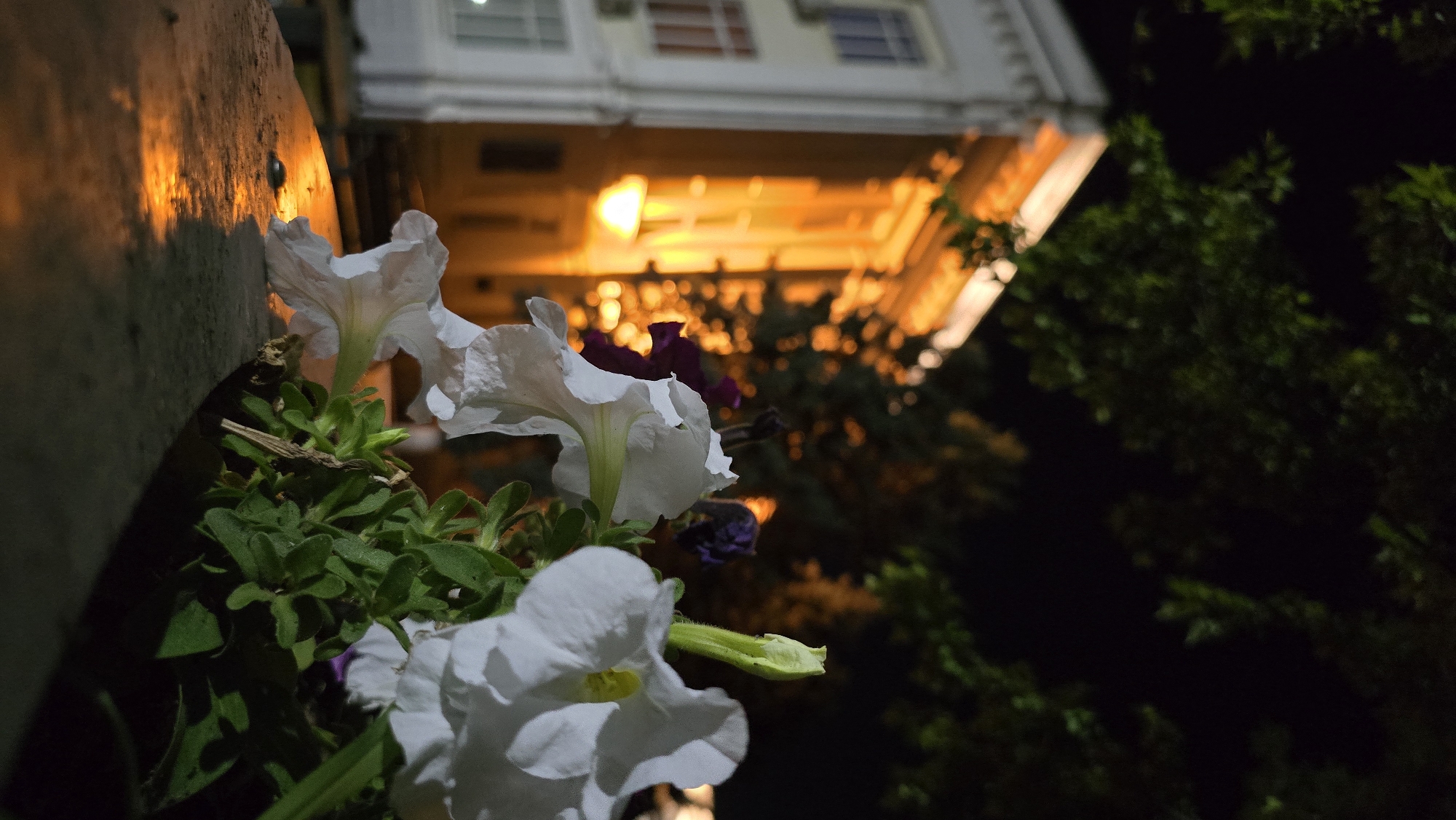 A weeknight out in Krasnodar's parks and streets