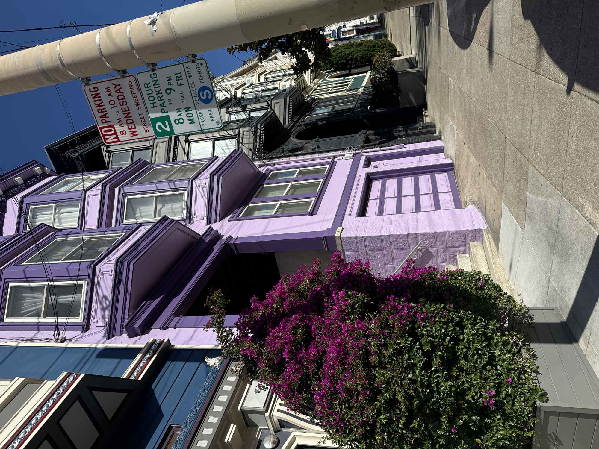 San Francisco street scene: Victorians, trolley wires, and a feisty window display