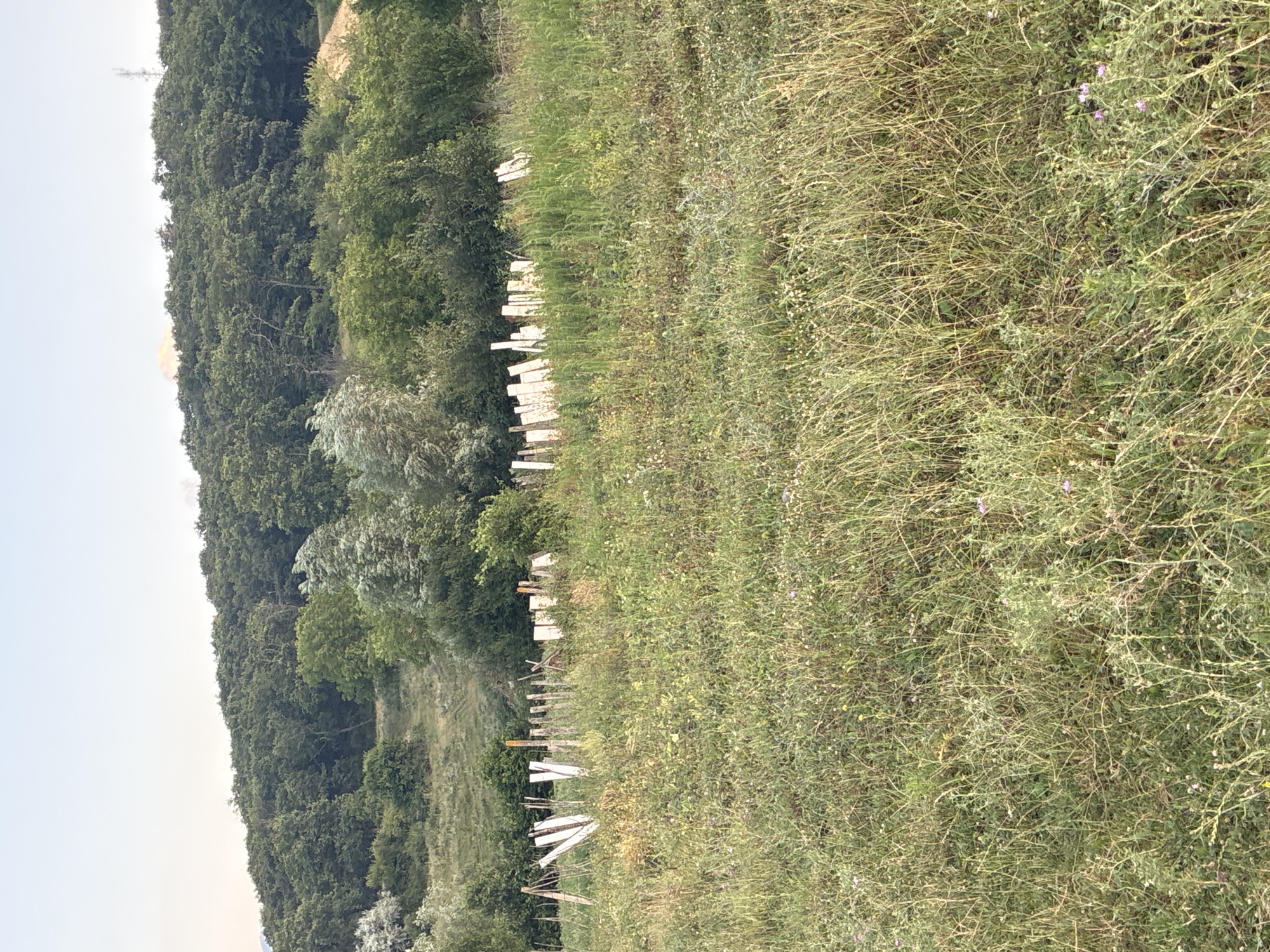 Khashuri, Georgia