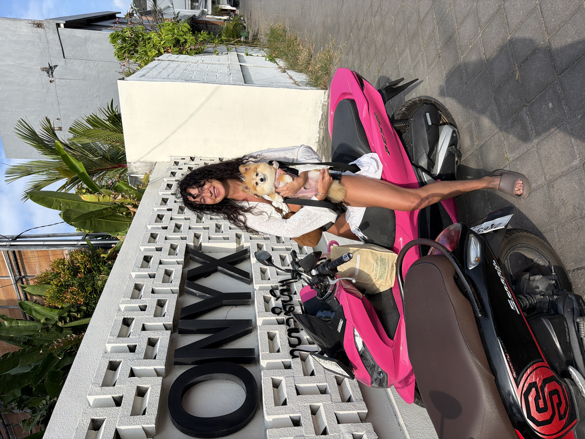 Fluffy dog in tow on a bright pink scooter