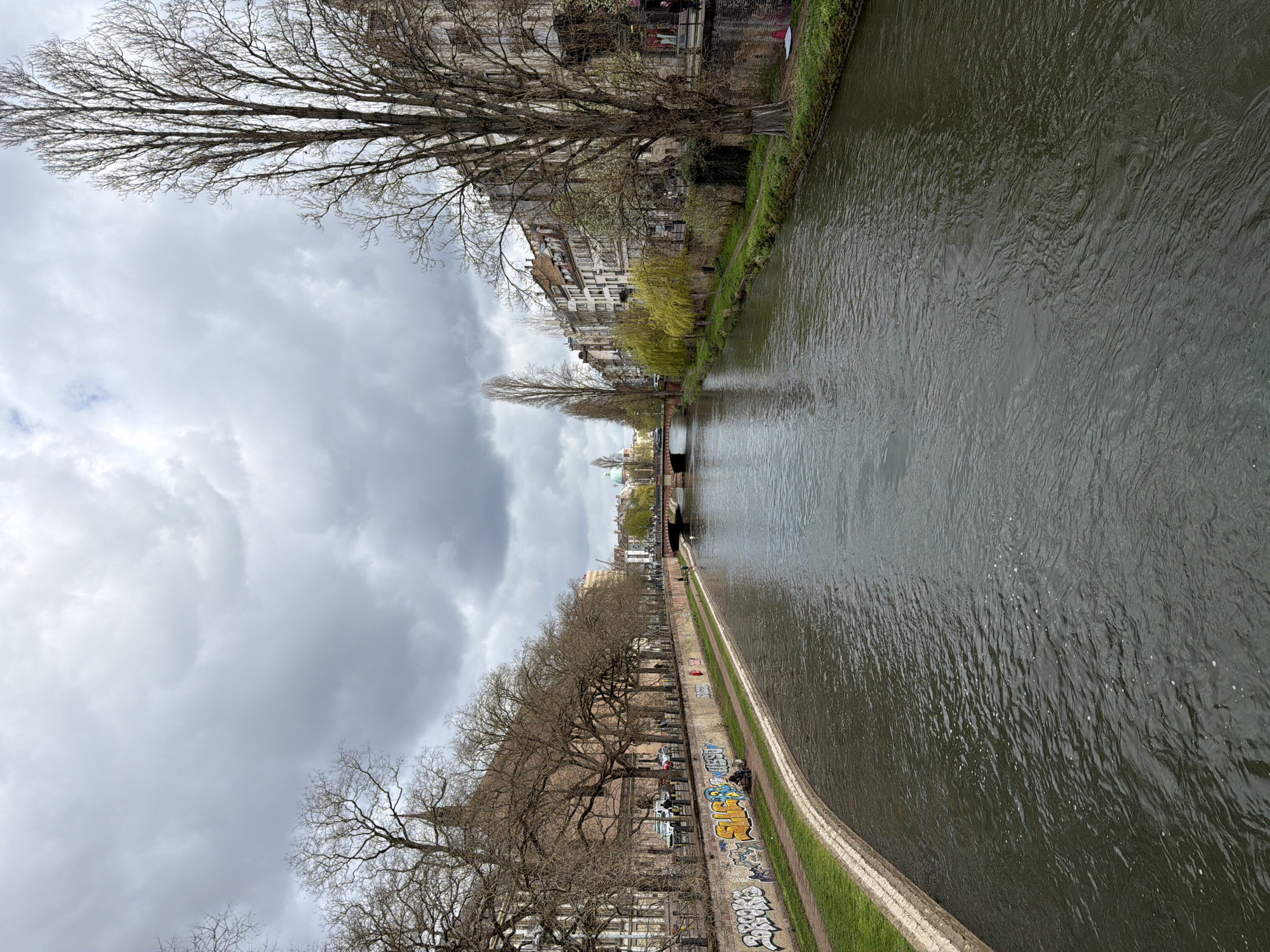 Egyptian Geese spotted along Ill River in Strasbourg