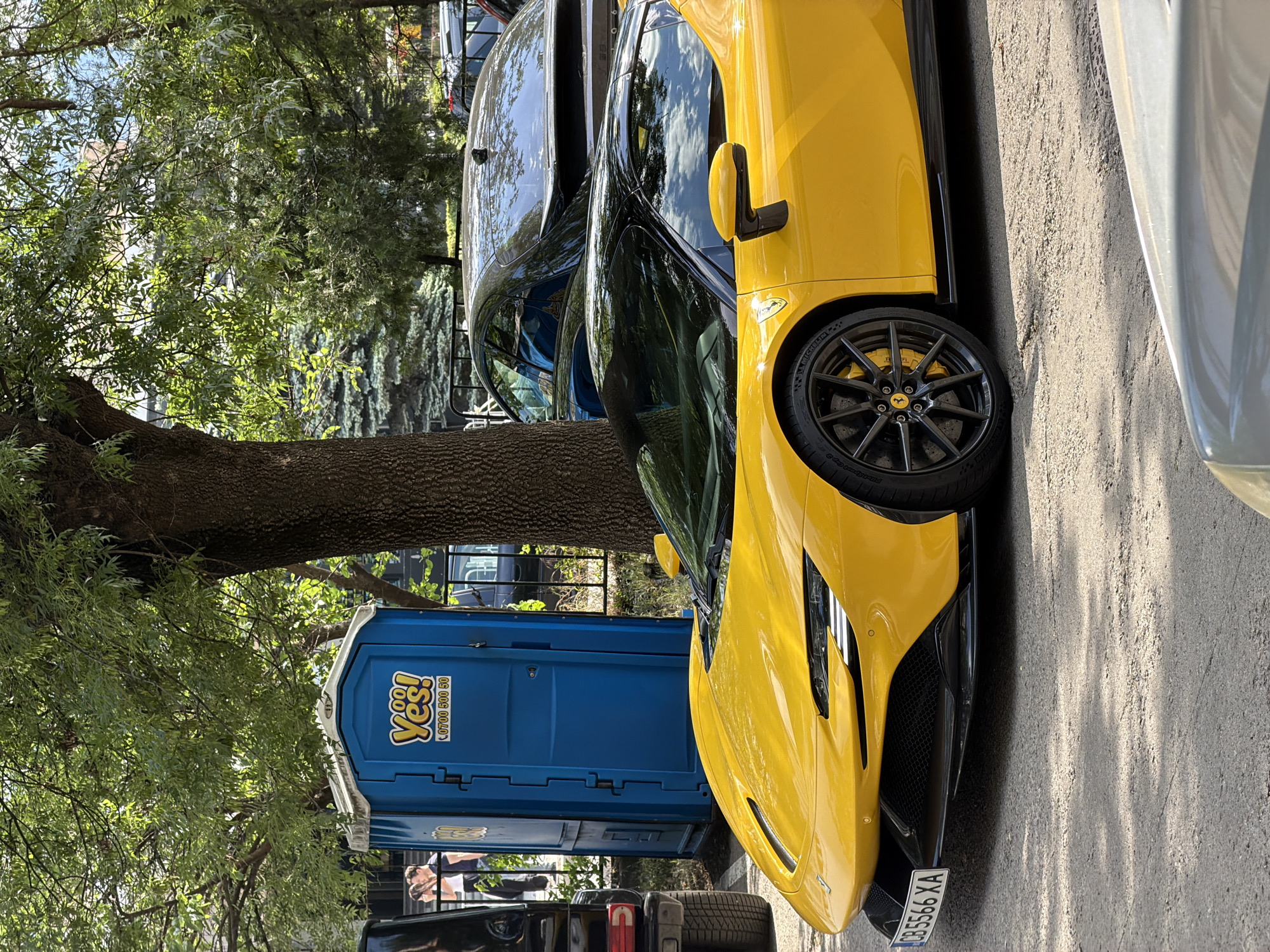 Spring garden blooms and luxury car spotted in Sofia