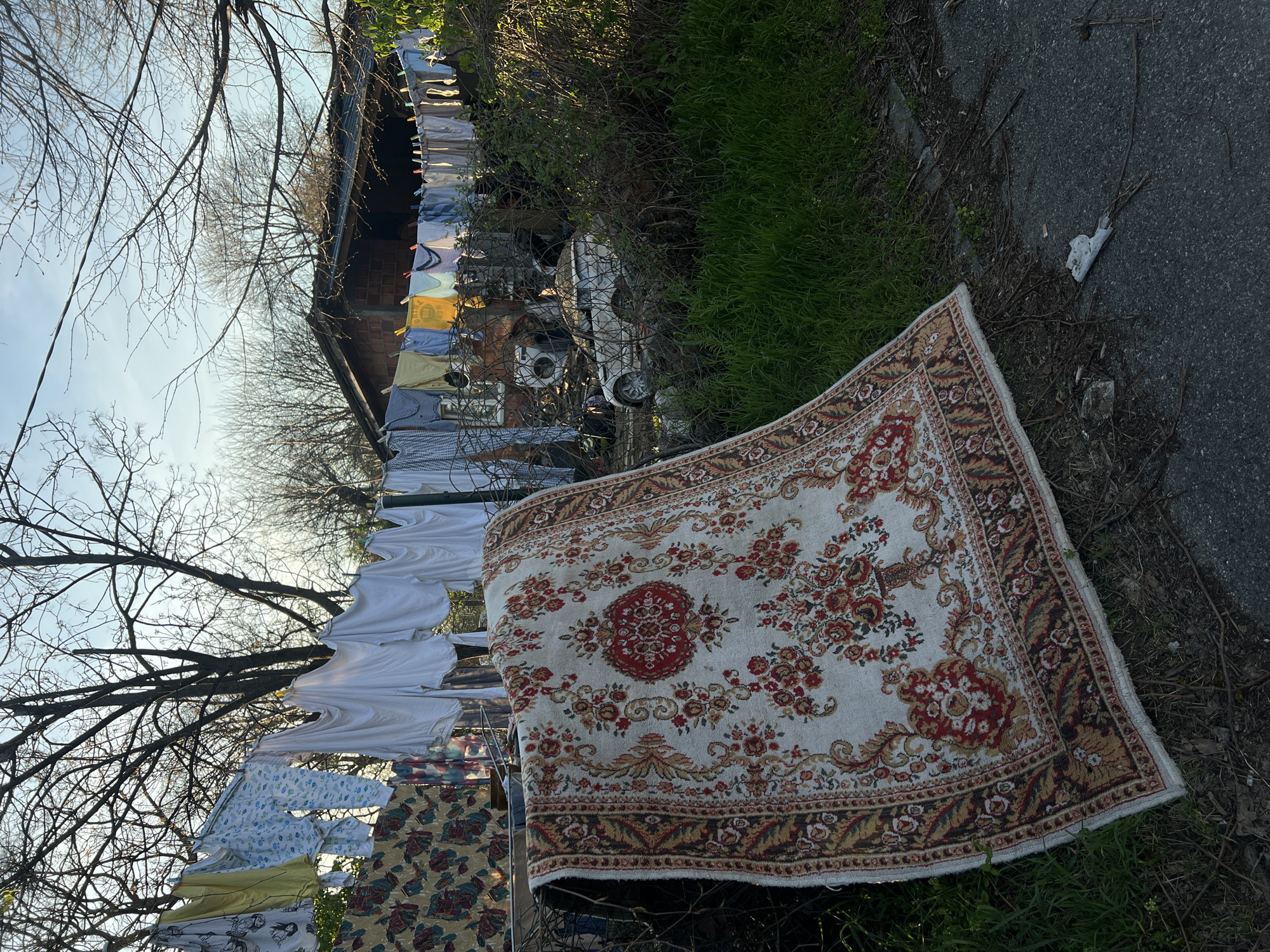 Domestic scene captured in Belgrade outdoor space