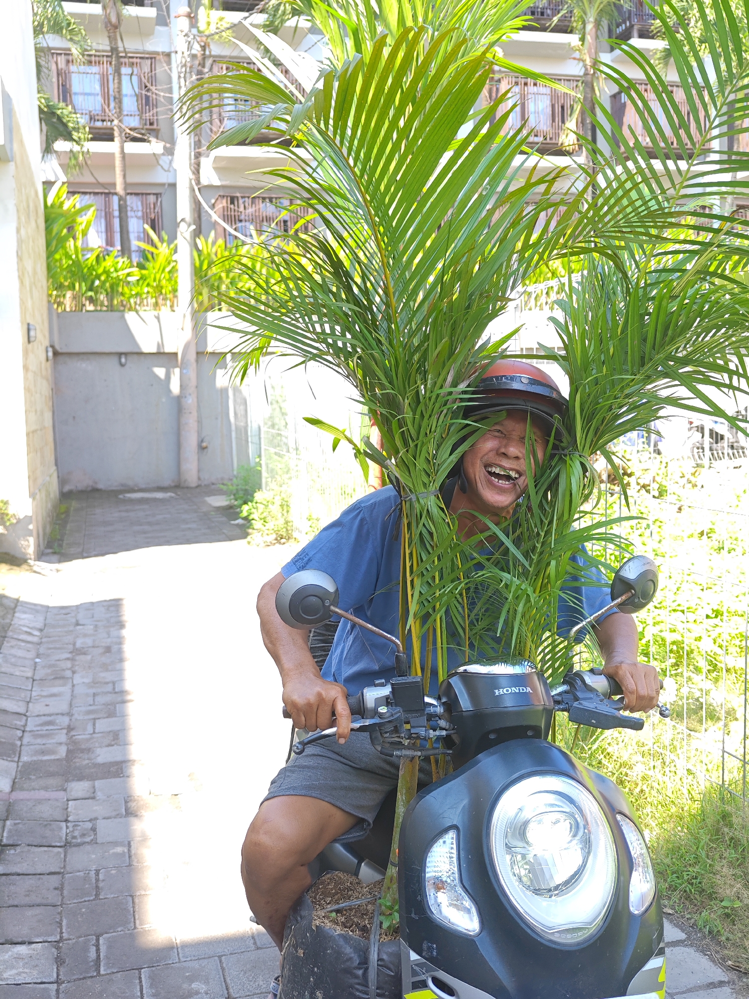 Man rides Honda scooter through Denpasar alley