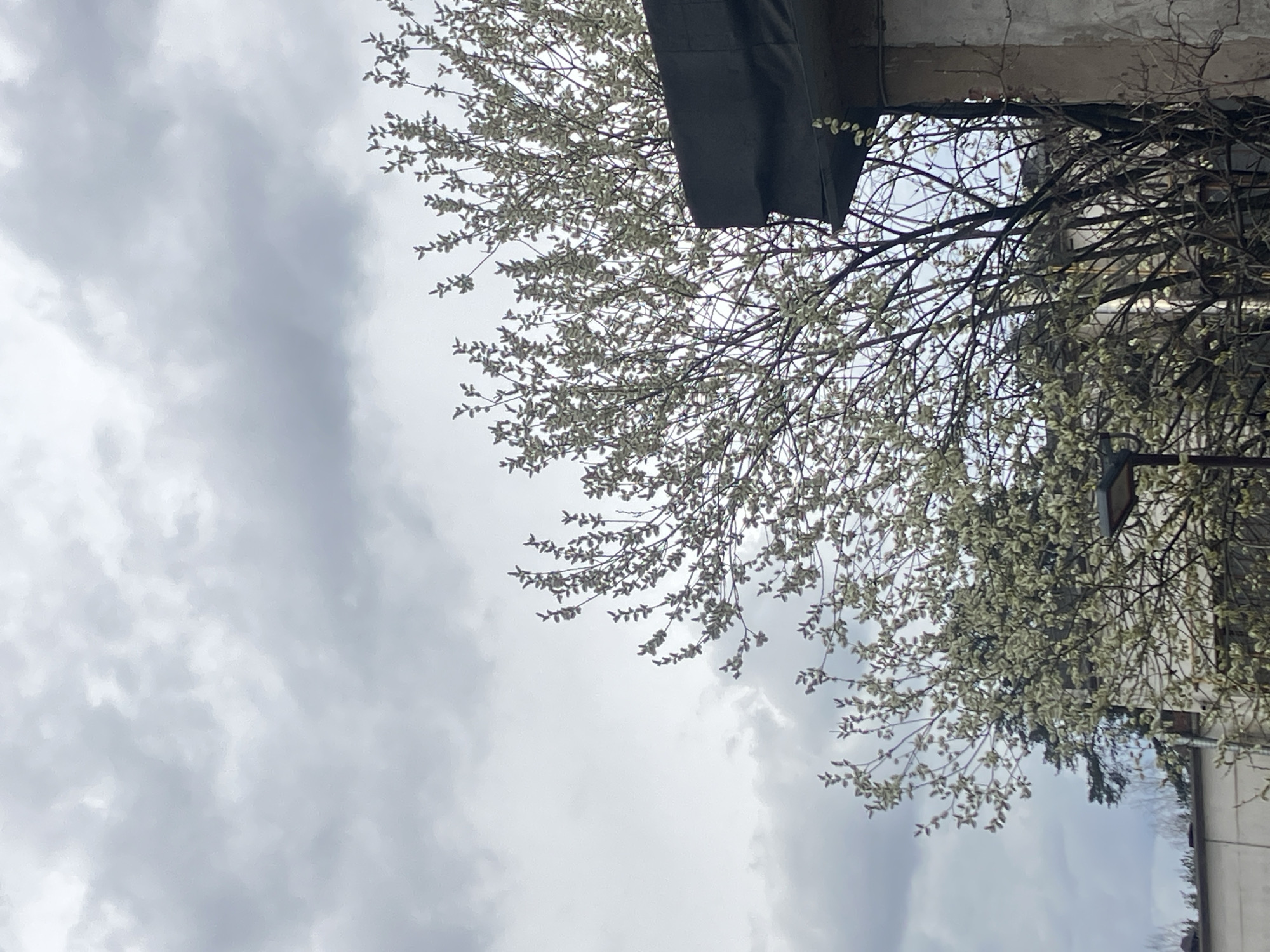 Overcast afternoon moments documented in Noviy, Russia