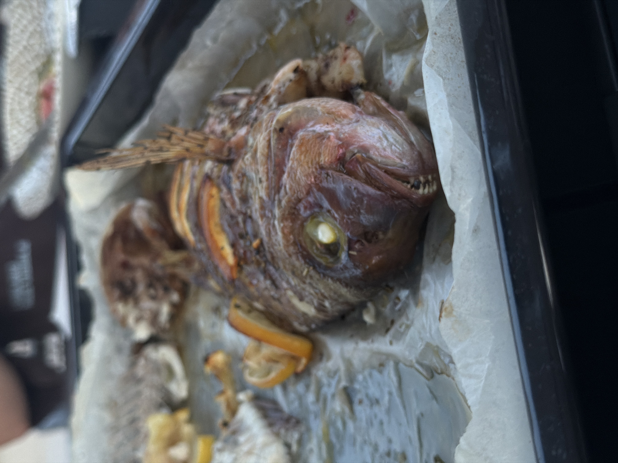 Casual outdoor meal with baked fish and cold soup, Sithonia